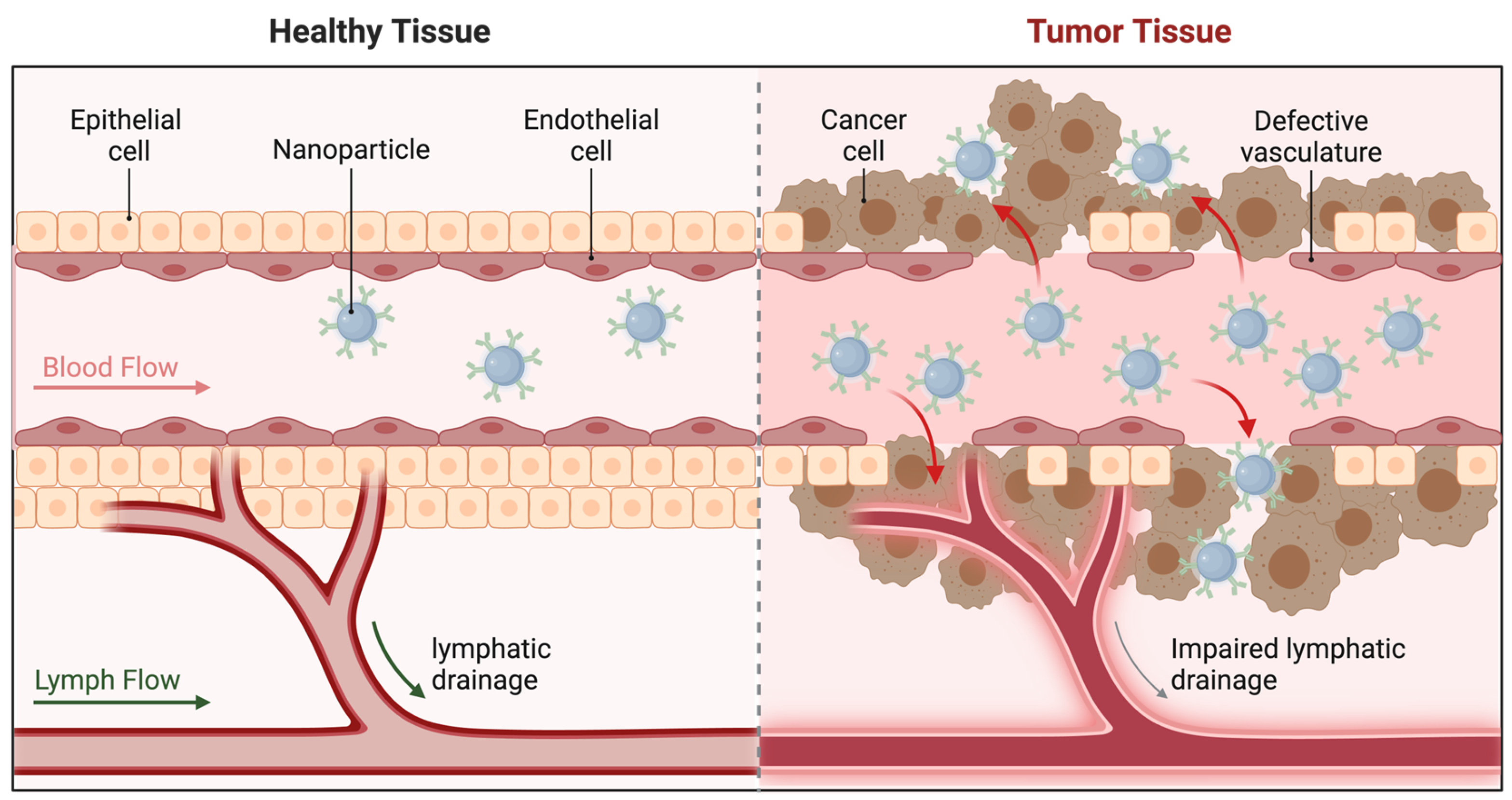 Applbiosci 04 00016 g005