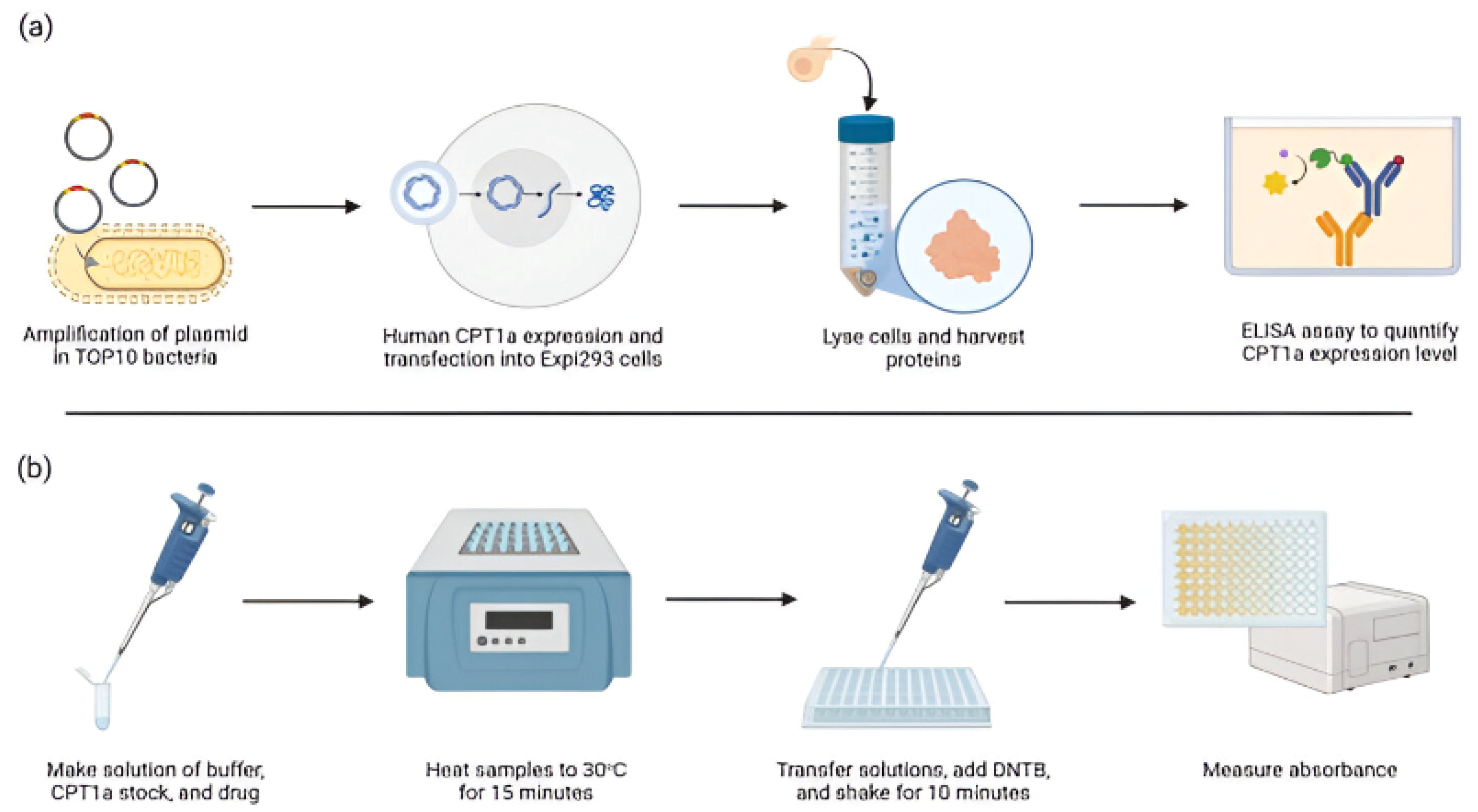 Applbiosci 04 00025 g001 Applbiosci 04 00025 g001