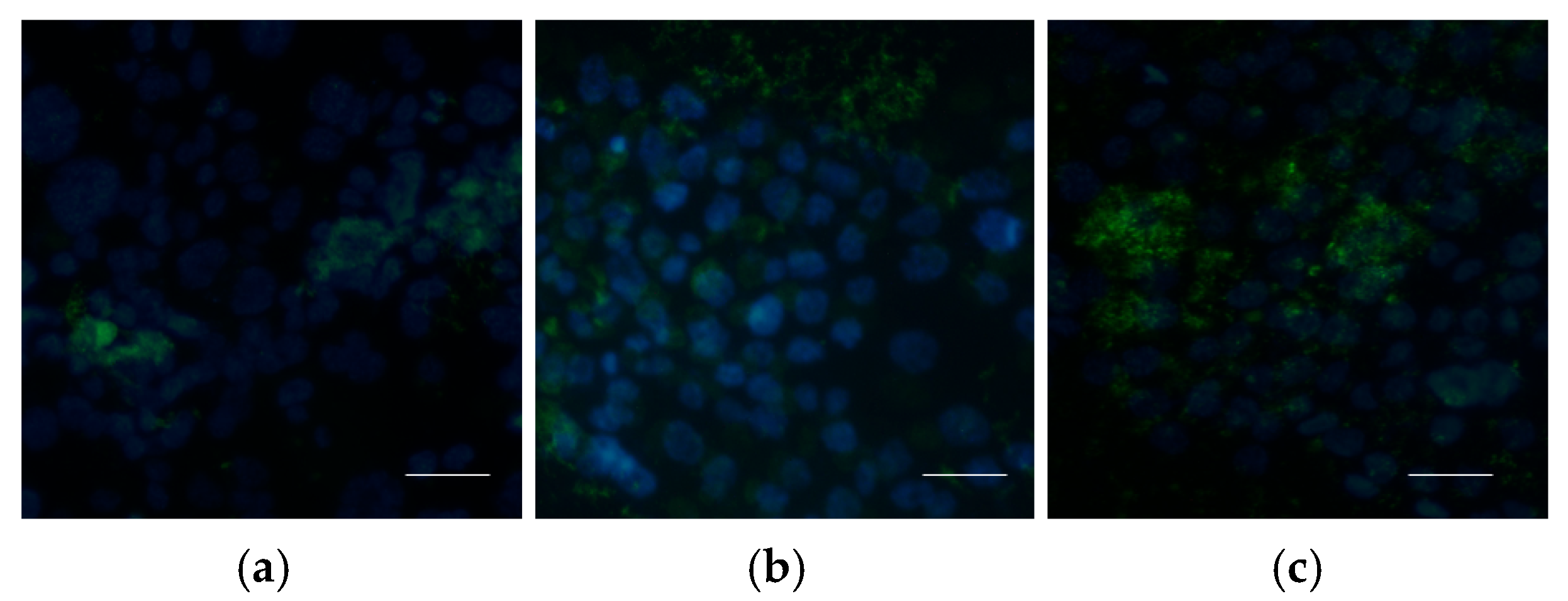 Applbiosci 04 00029 g003