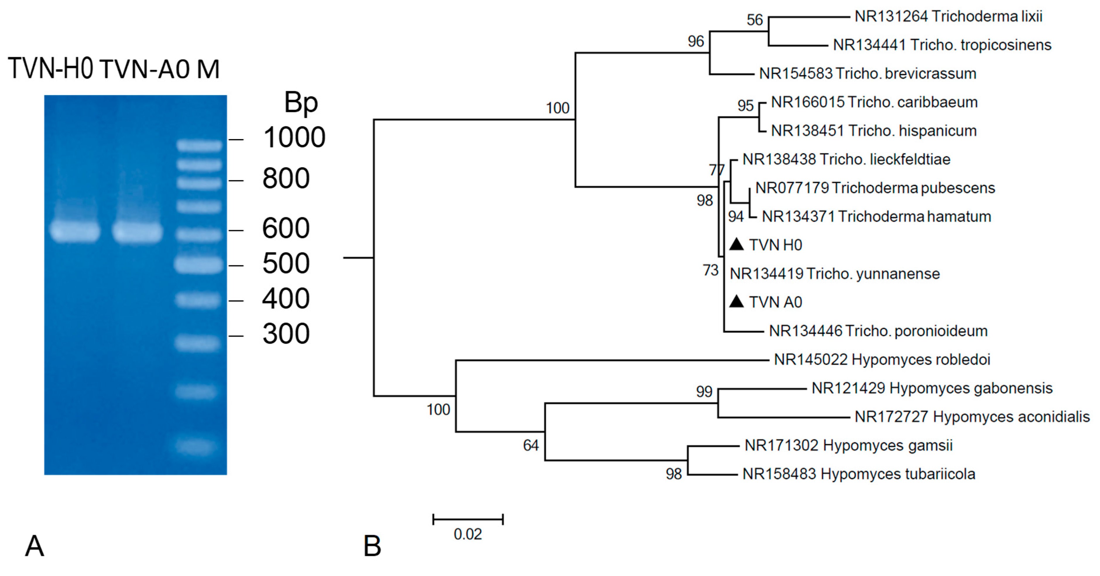 Applbiosci 04 00041 g002 Applbiosci 04 00041 g002