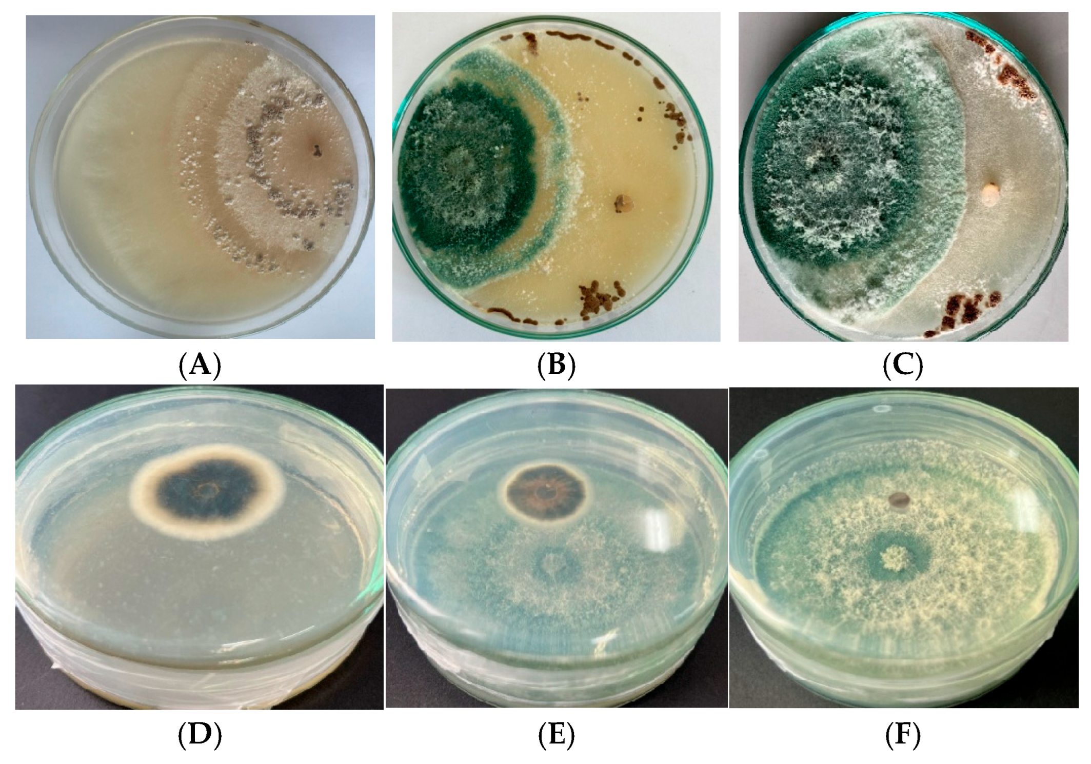 Applbiosci 04 00041 g004 Applbiosci 04 00041 g004