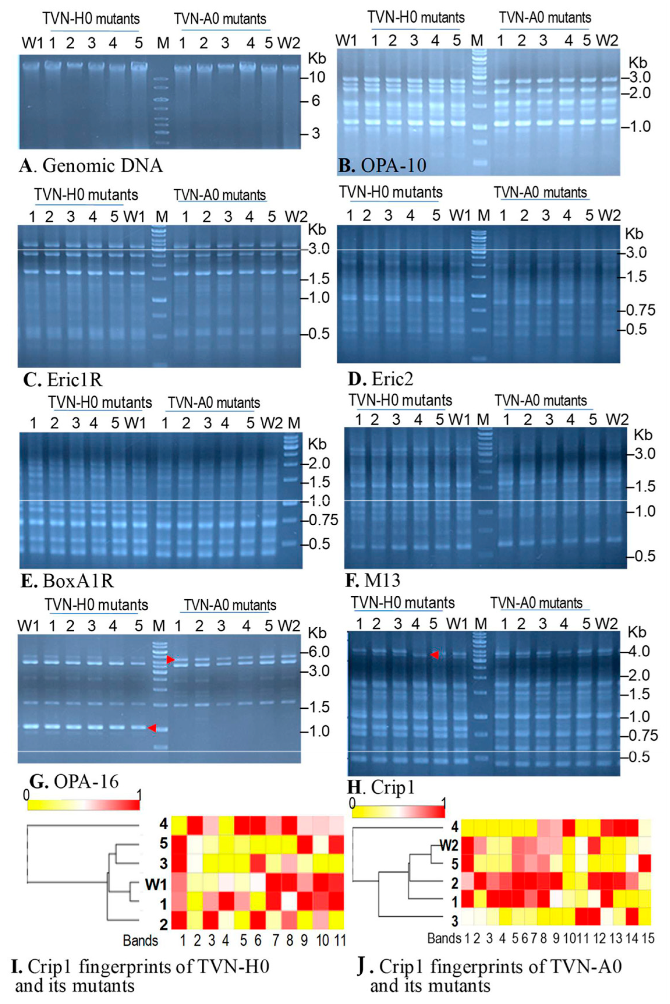 Applbiosci 04 00041 g007 Applbiosci 04 00041 g007