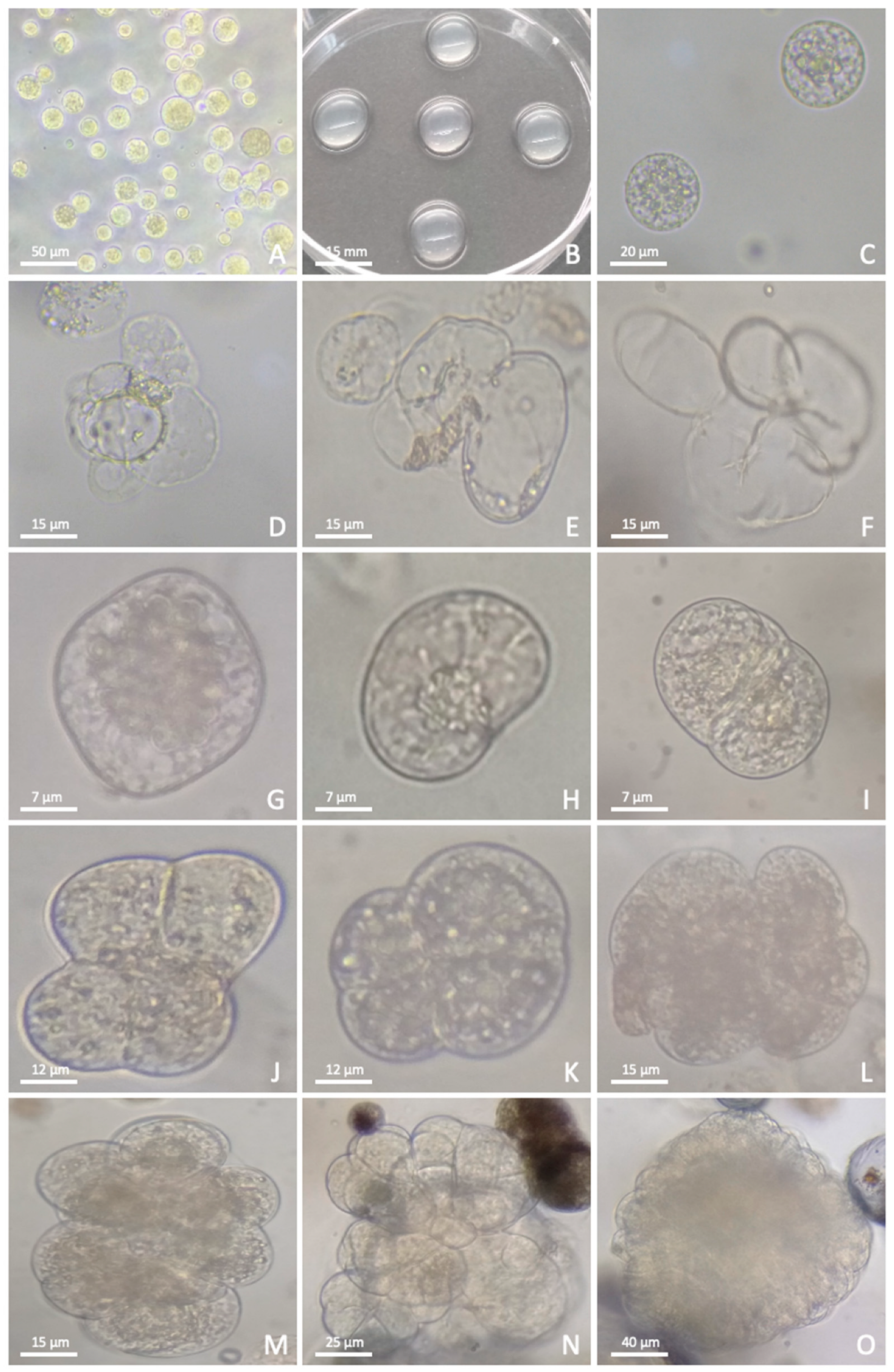 Applbiosci 04 00042 g002 Applbiosci 04 00042 g002