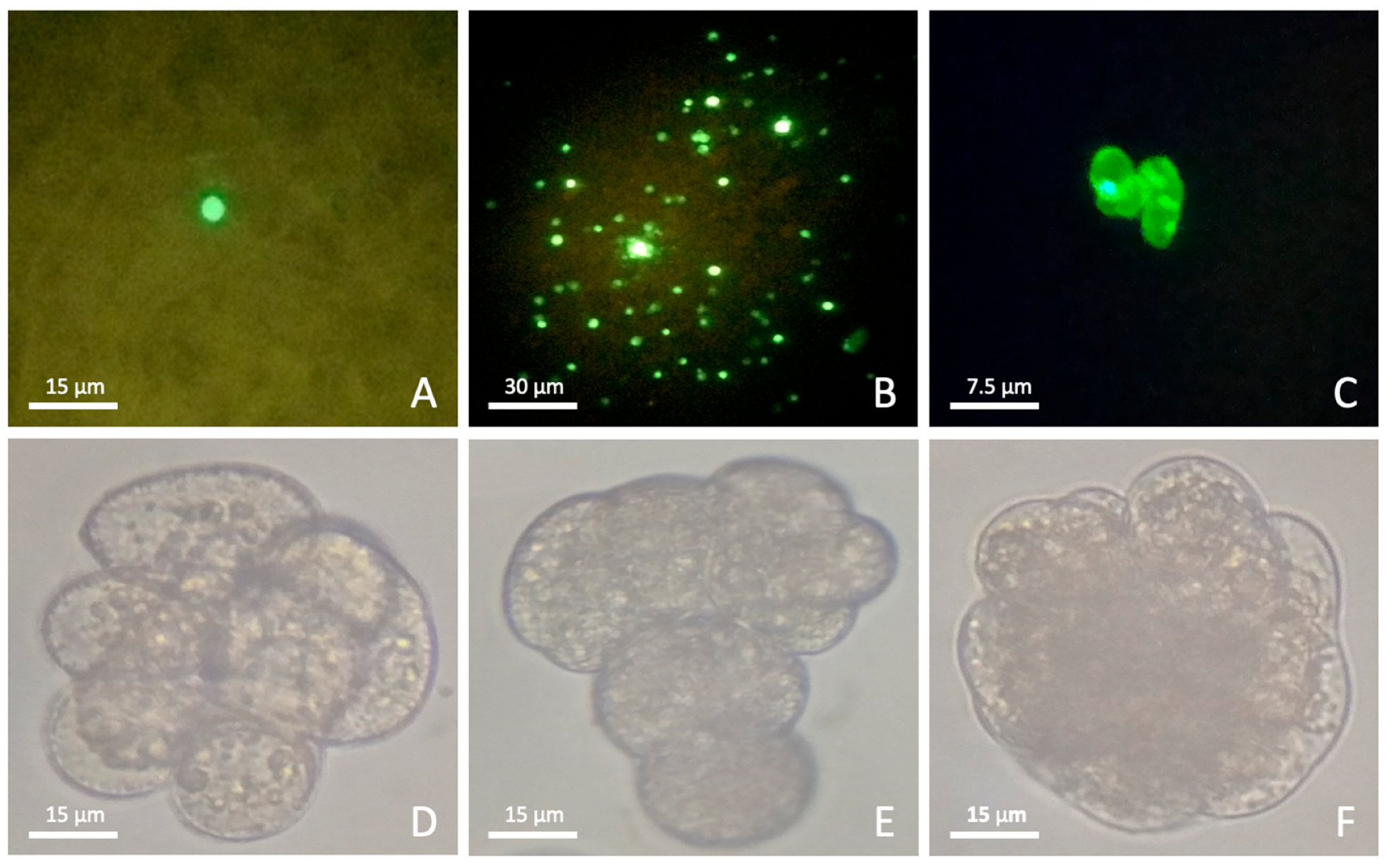 Applbiosci 04 00042 g004 Applbiosci 04 00042 g004