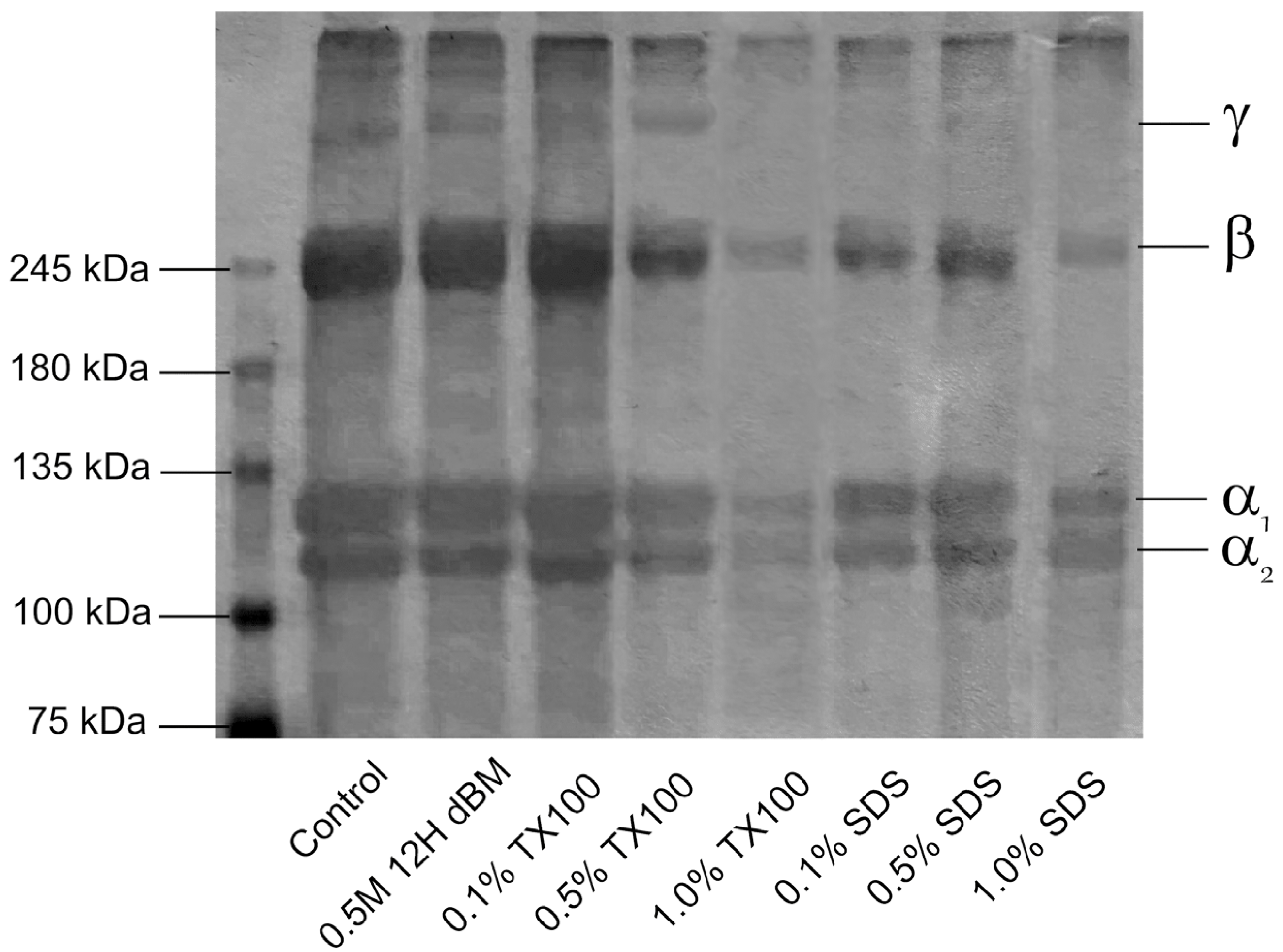 Applbiosci 04 00043 g014 Applbiosci 04 00043 g014