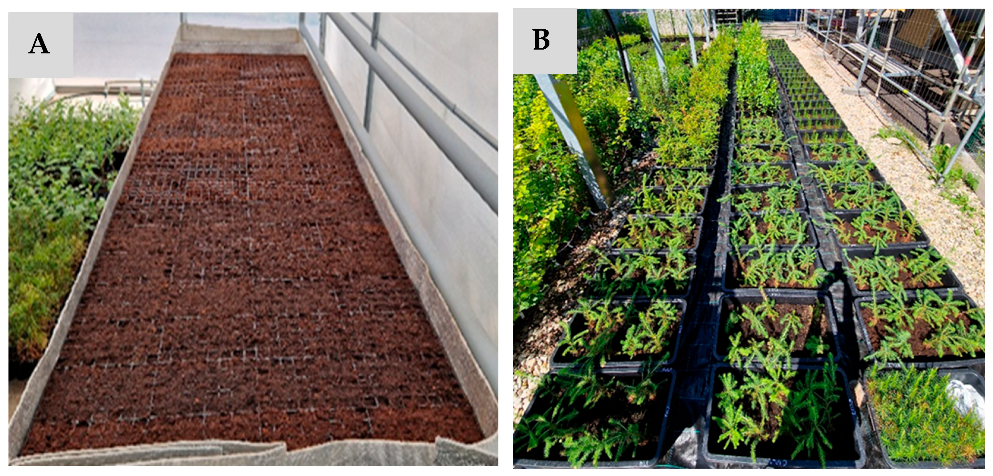 Applbiosci 04 00057 g002