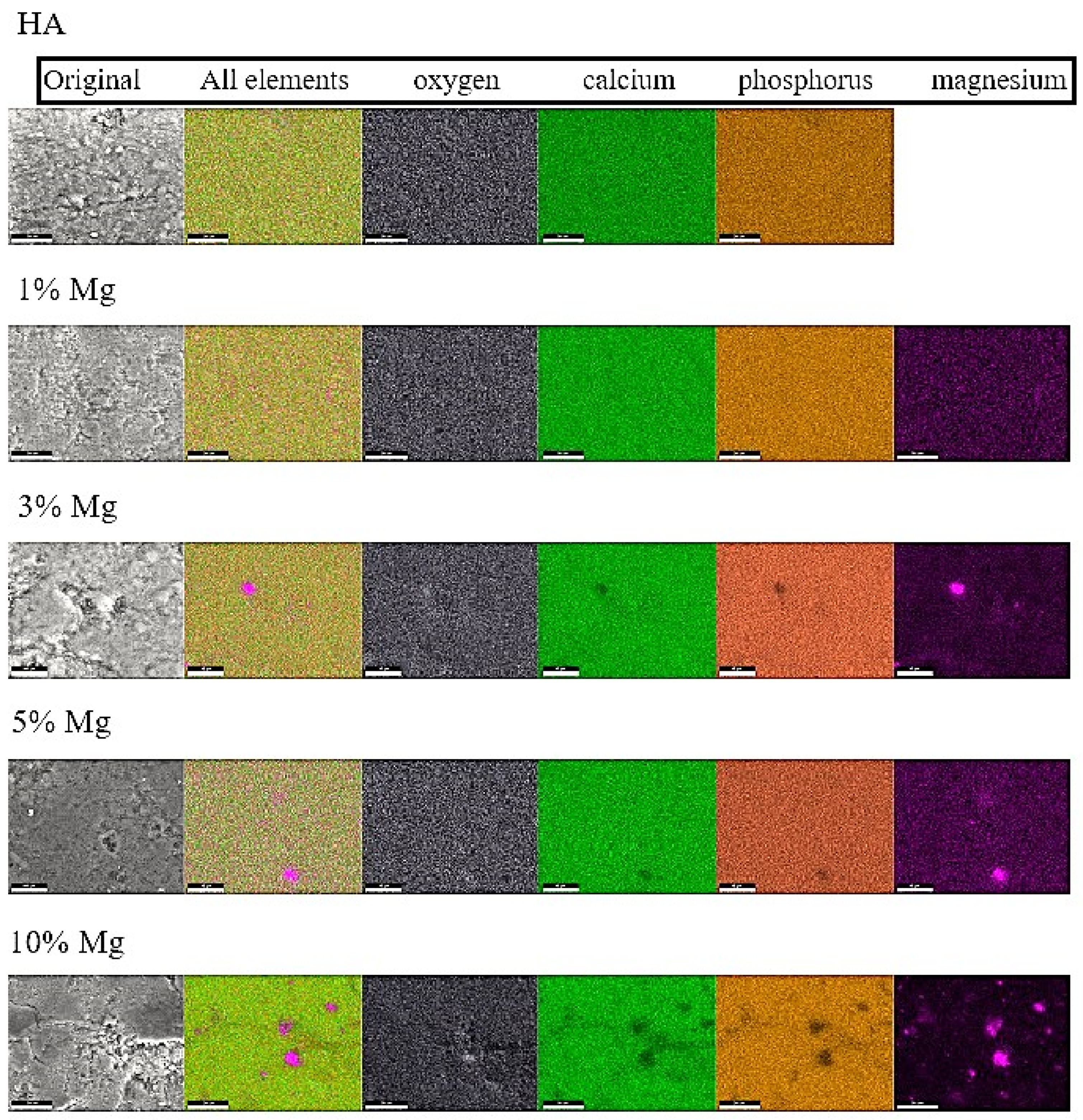 Applbiosci 05 00061 g004