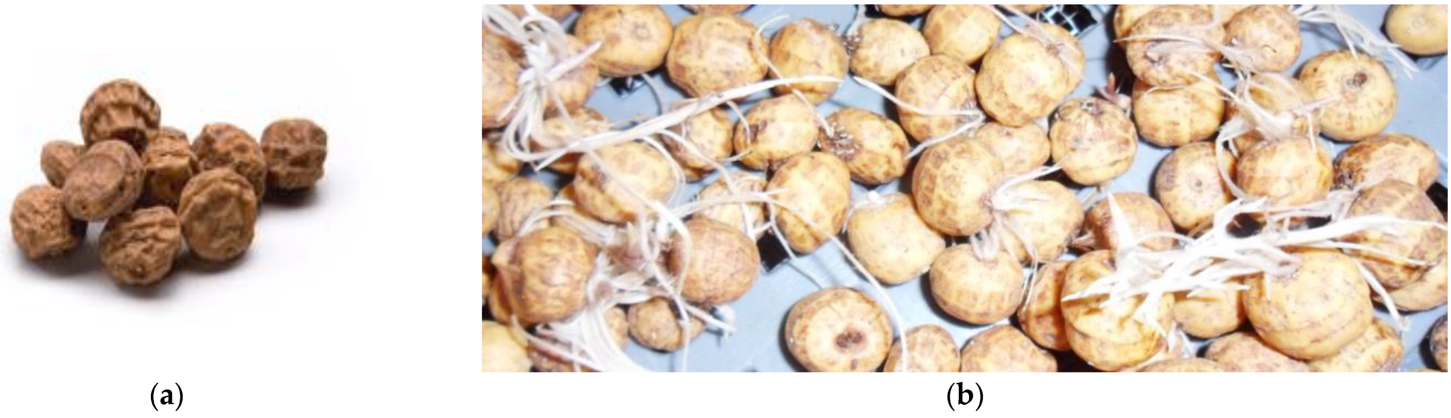 Appliedchem 02 00003 g002