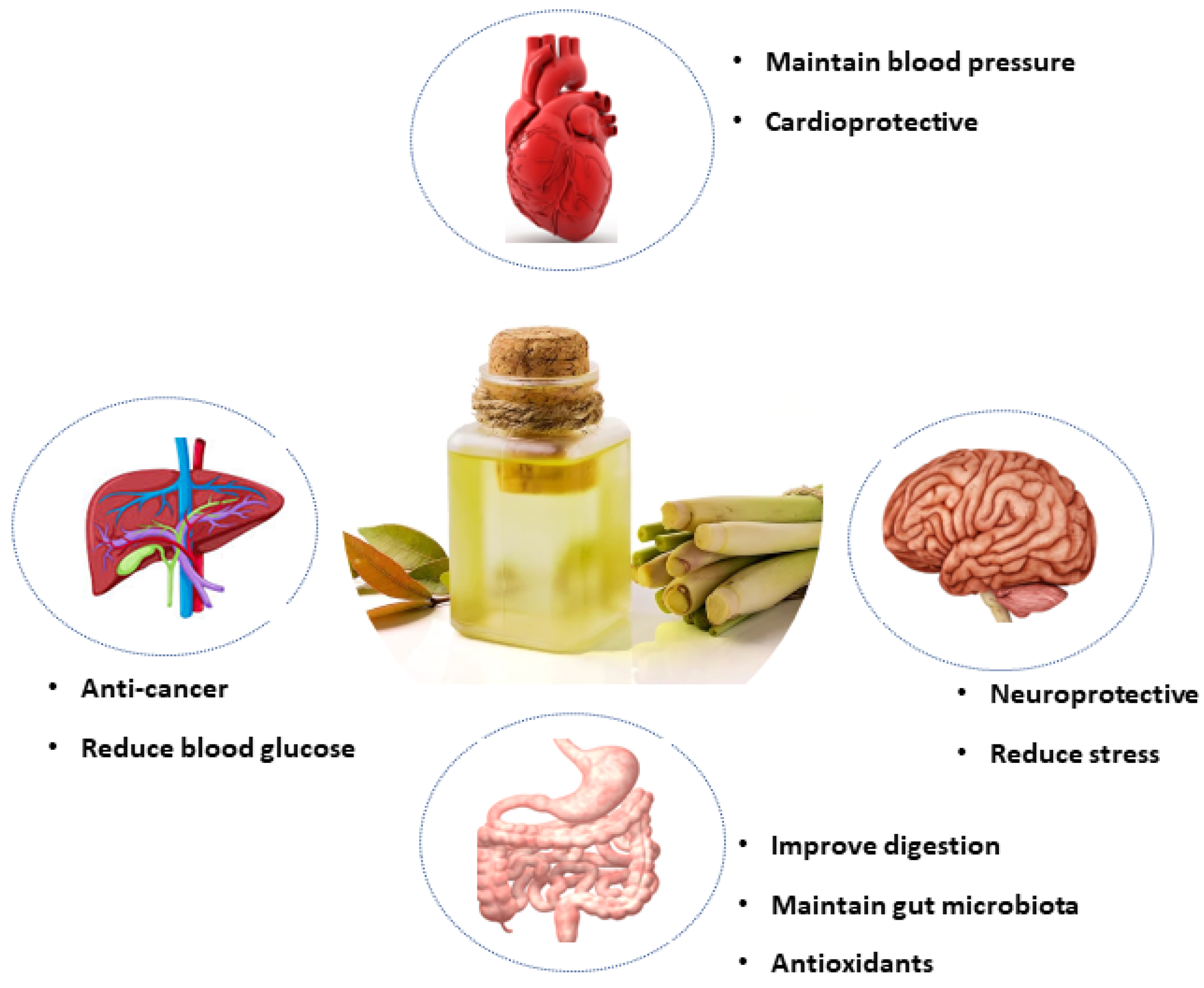 Appliedchem 02 00016 g004 Appliedchem 02 00016 g004