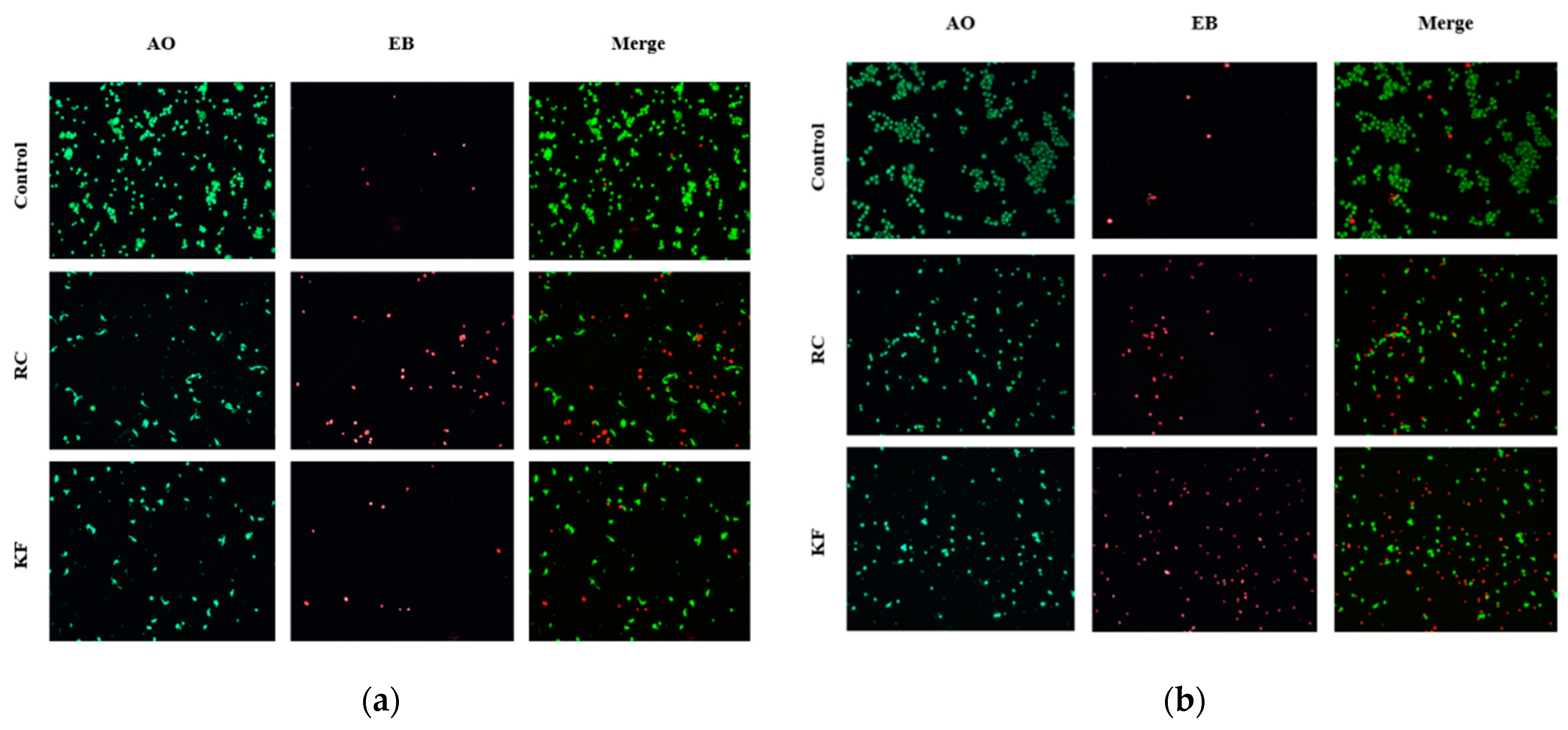 Appliedchem 03 00009 g003 Appliedchem 03 00009 g003