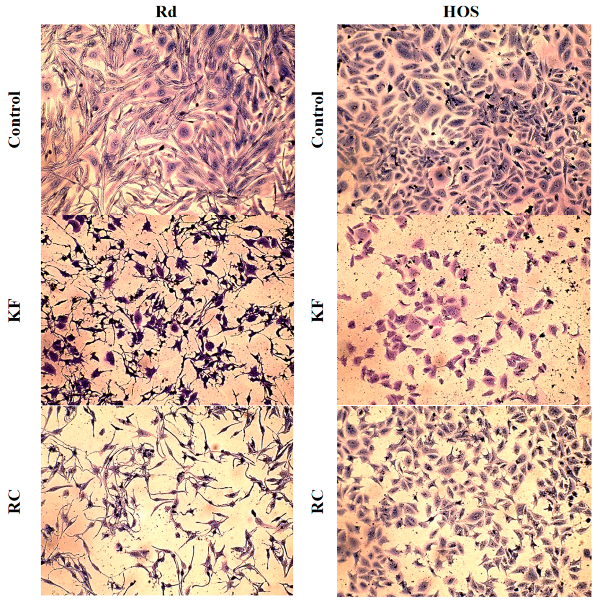 Appliedchem 03 00009 g005 Appliedchem 03 00009 g005