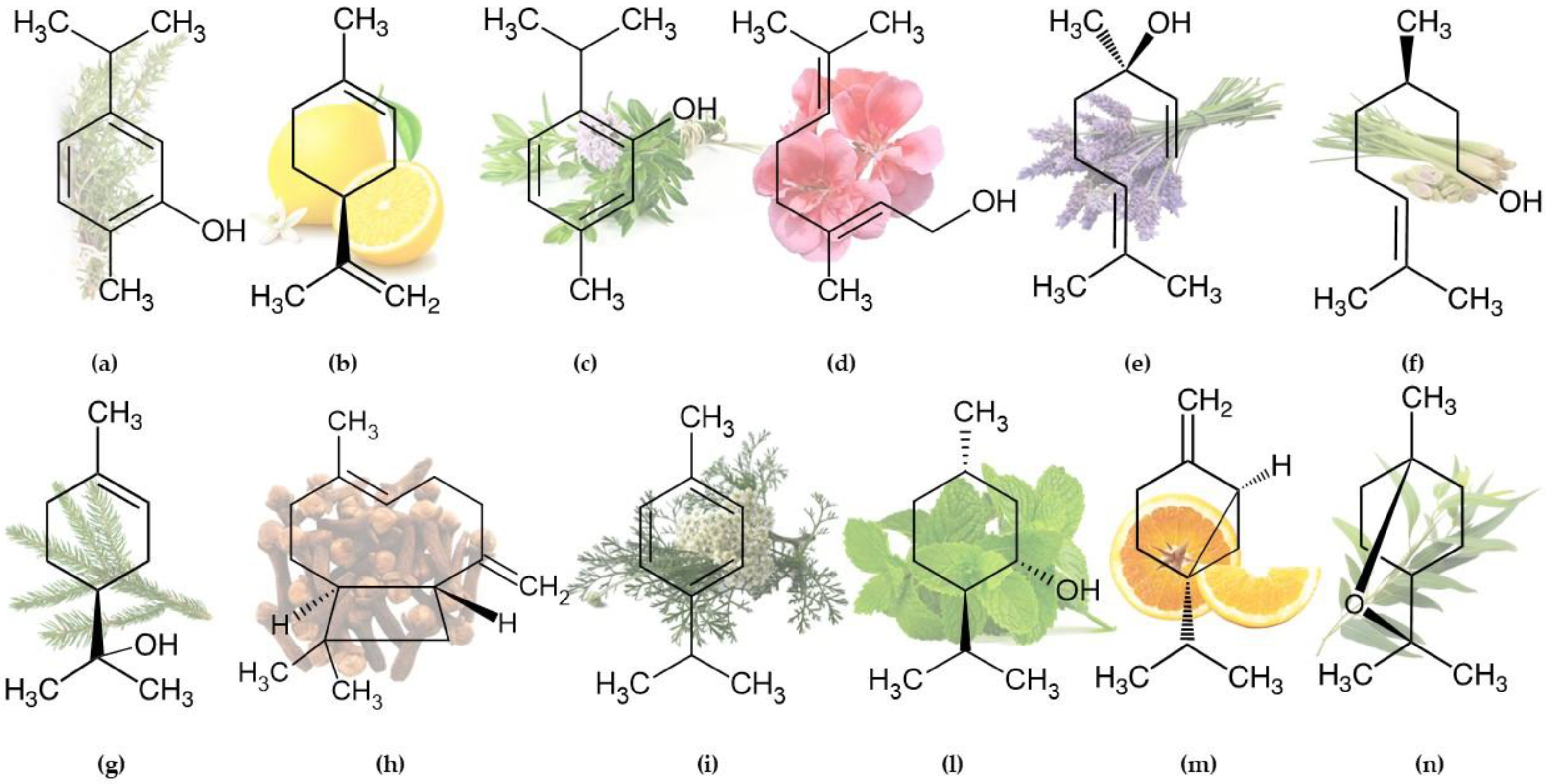 Appliedchem 03 00013 g001 Appliedchem 03 00013 g001