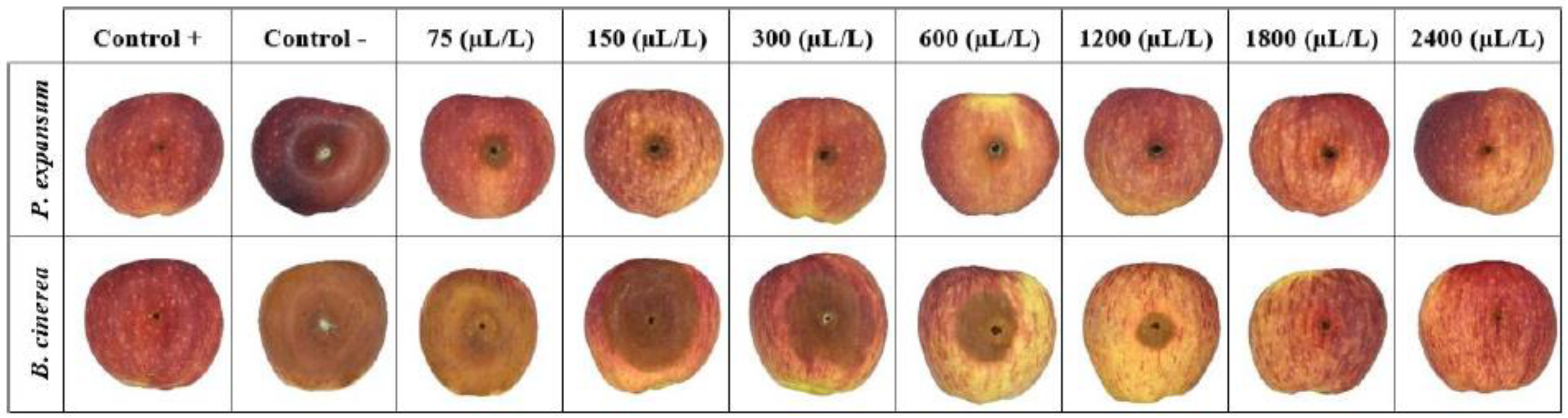 Appliedchem 03 00013 g003 Appliedchem 03 00013 g003