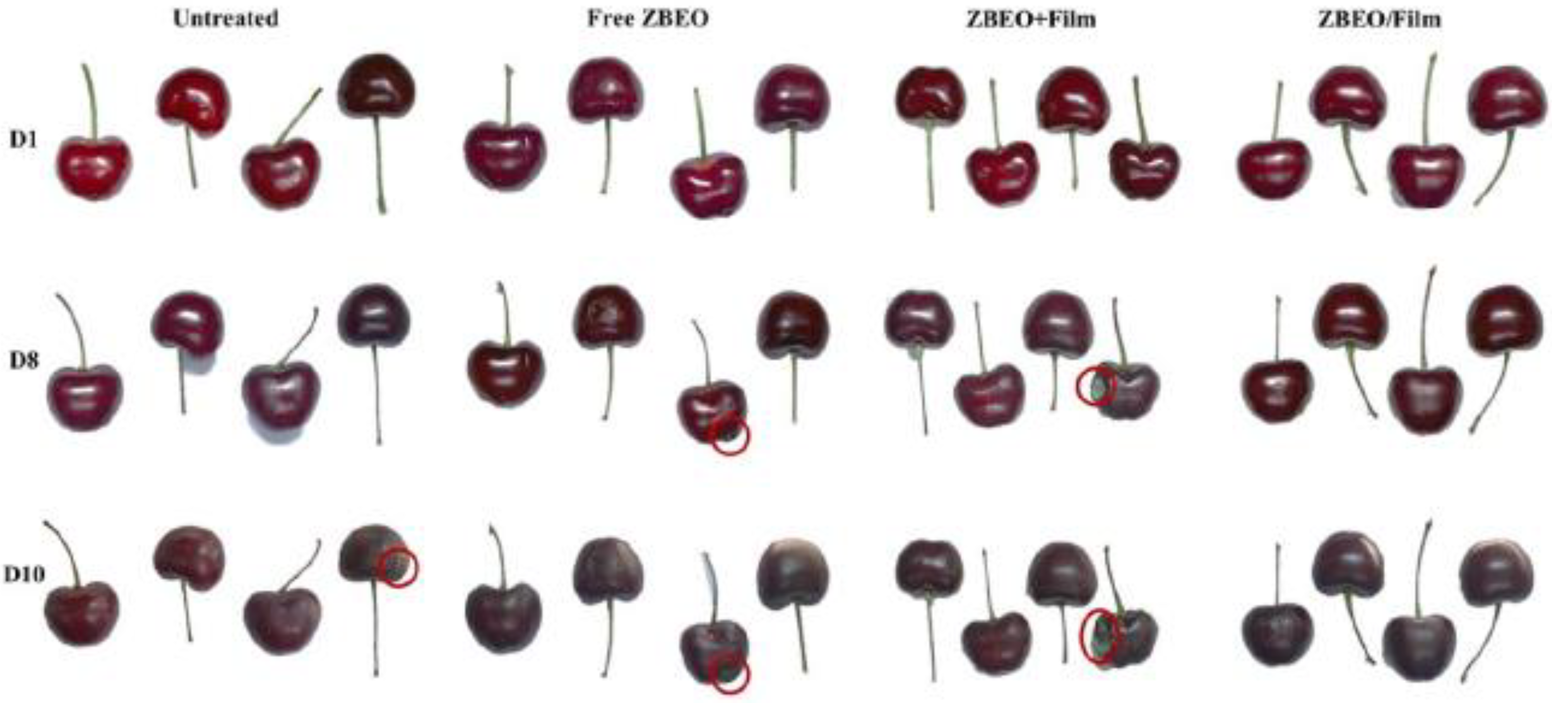 Appliedchem 03 00013 g005 Appliedchem 03 00013 g005