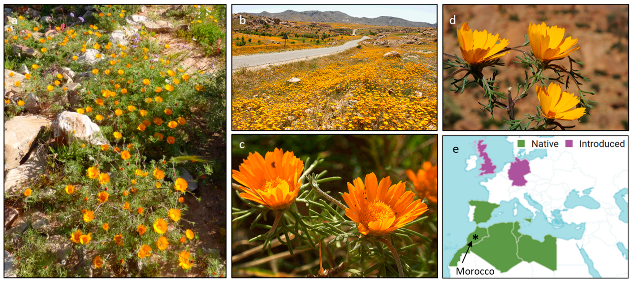 Appliedchem 04 00002 g001