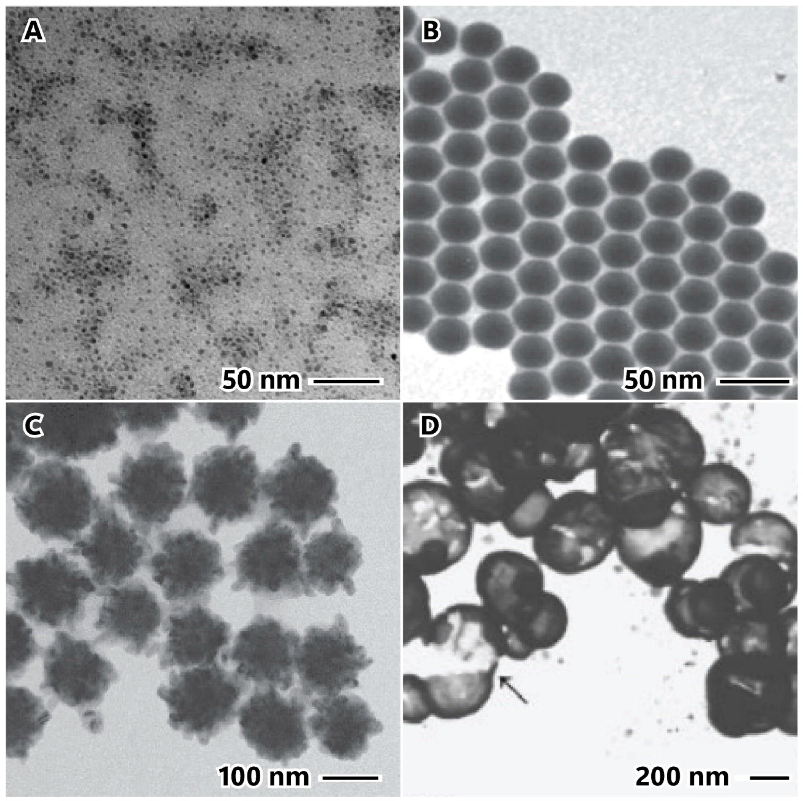 Appliedchem 04 00007 g006