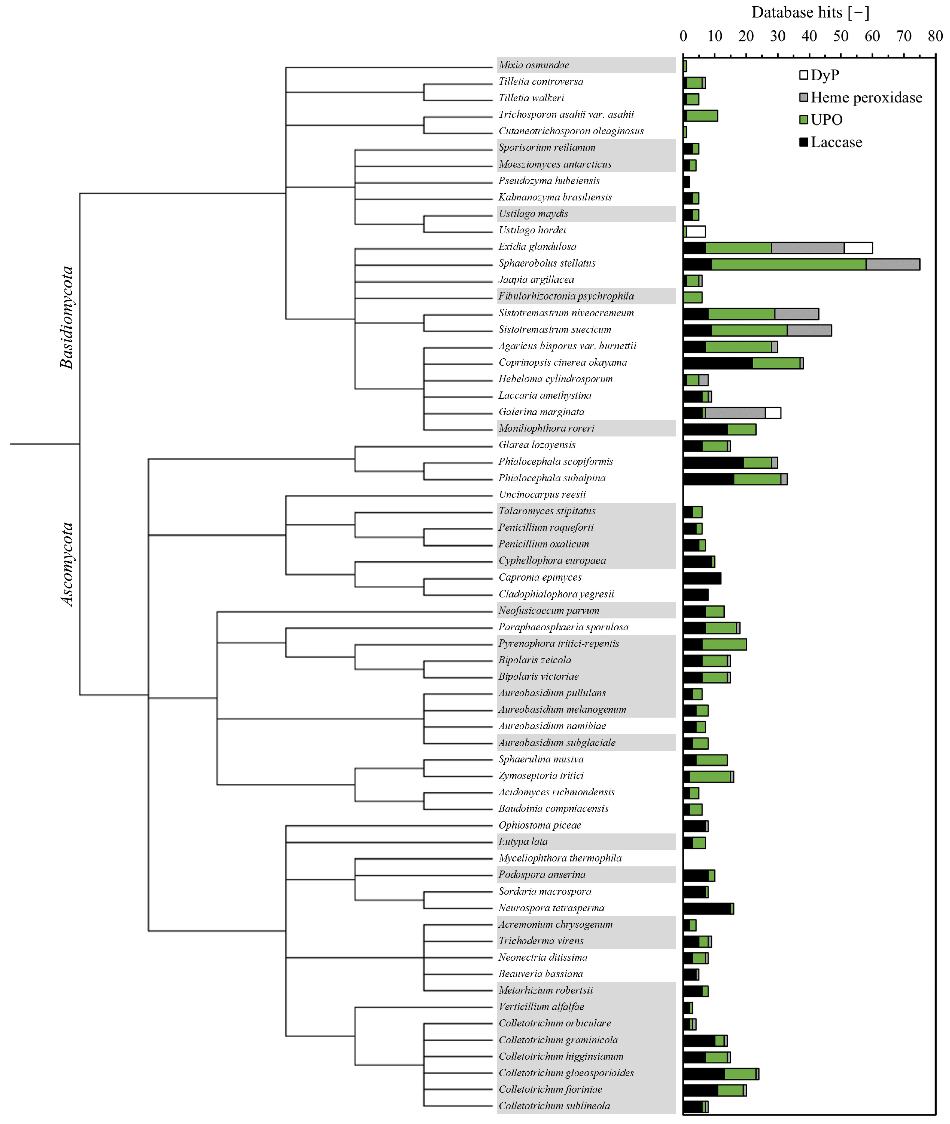 Appliedchem 04 00018 g001