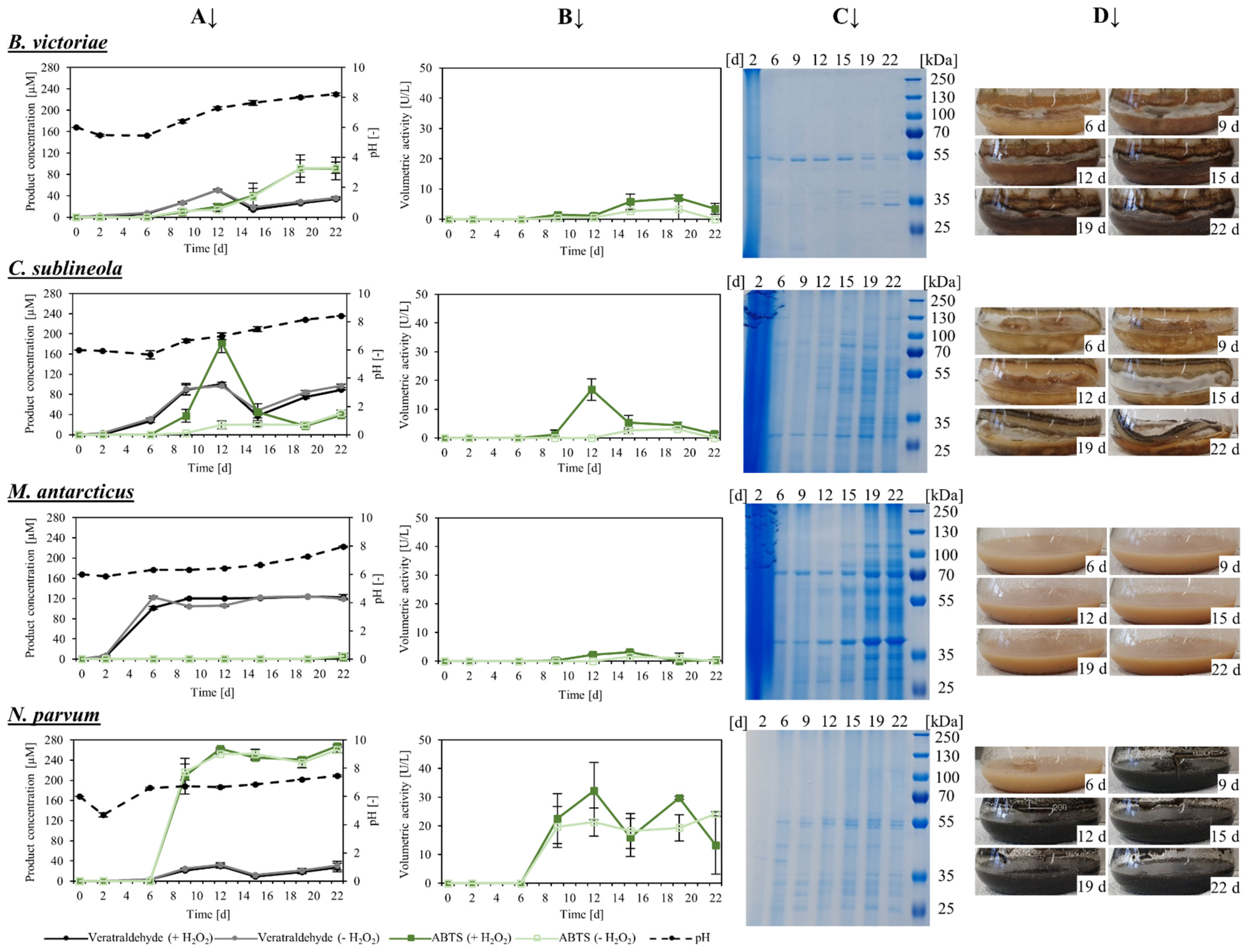 Appliedchem 04 00018 g004