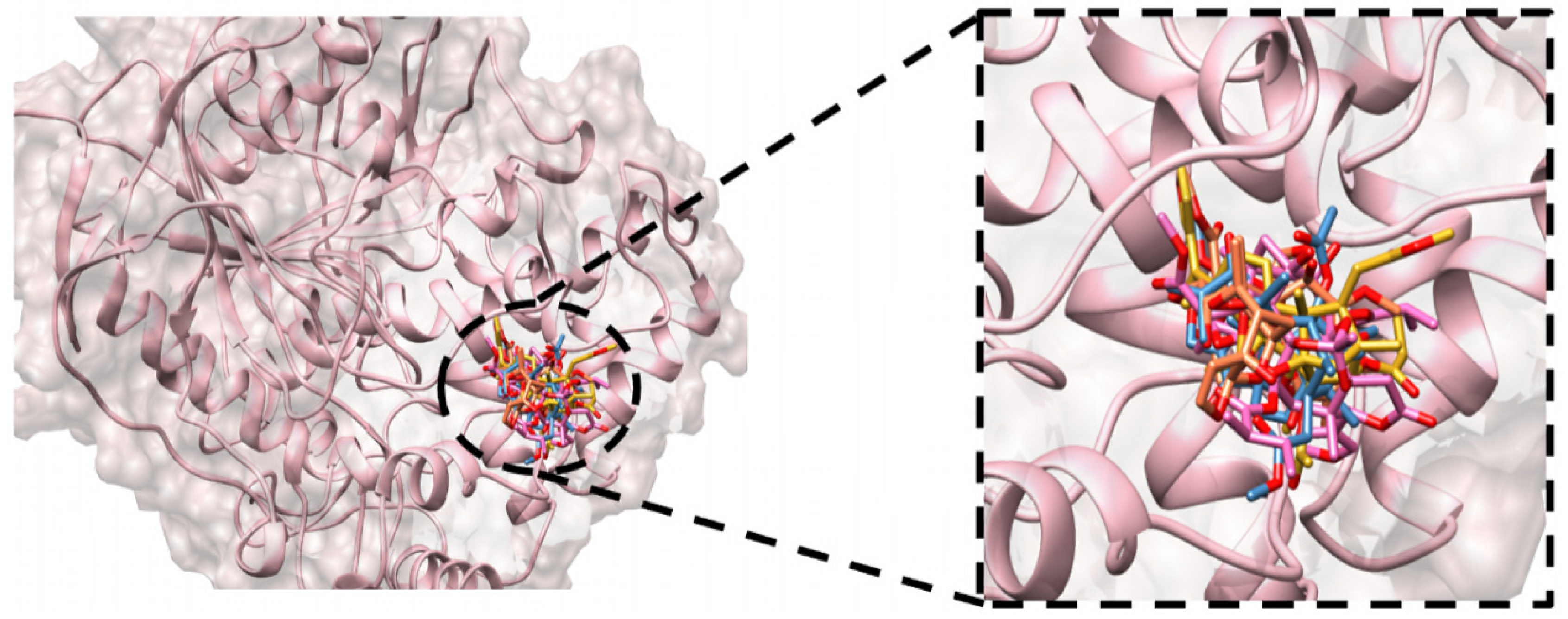 Appliedchem 04 00020 g003 Appliedchem 04 00020 g003