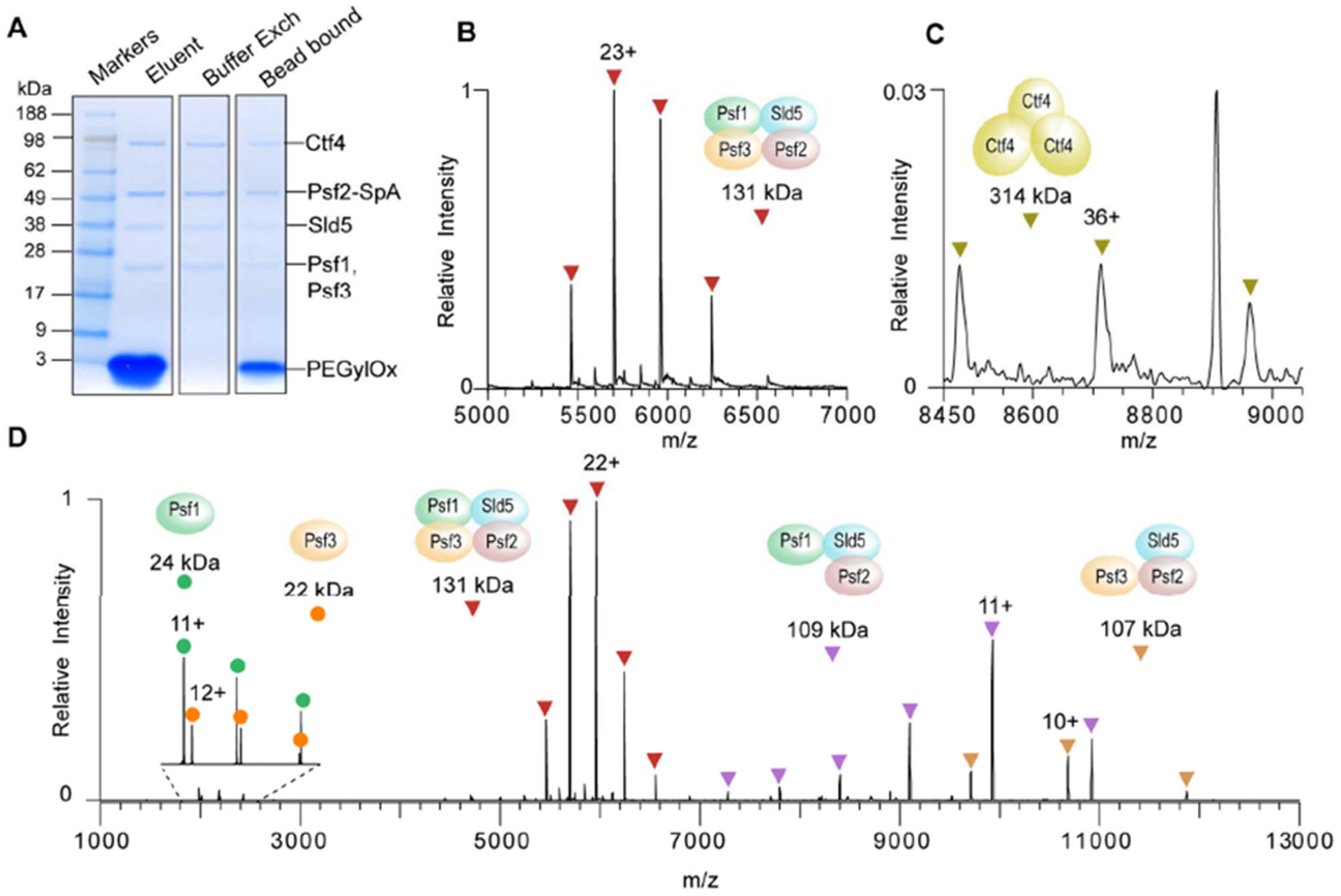 Appliedchem 05 00035 g002
