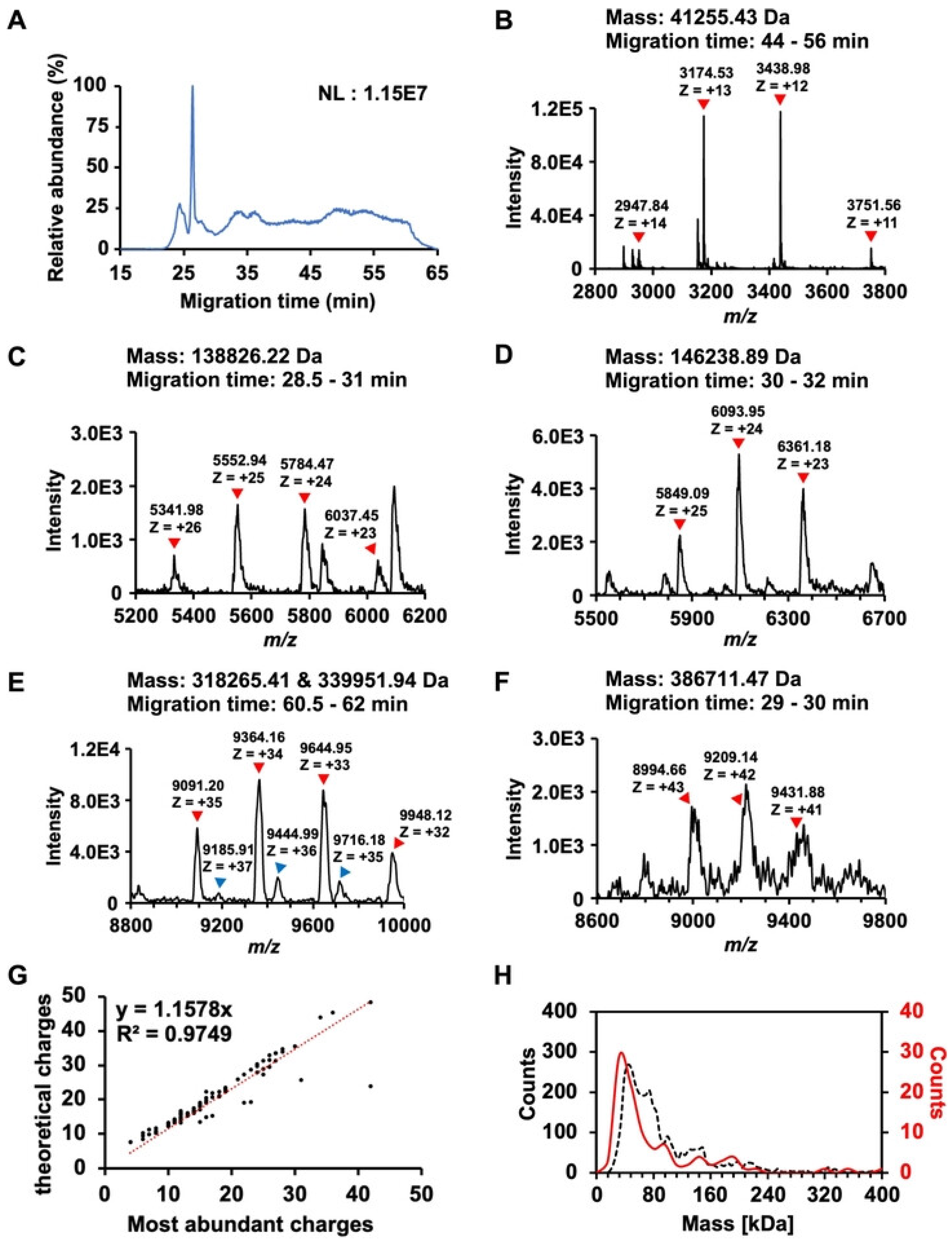 Appliedchem 05 00035 g008