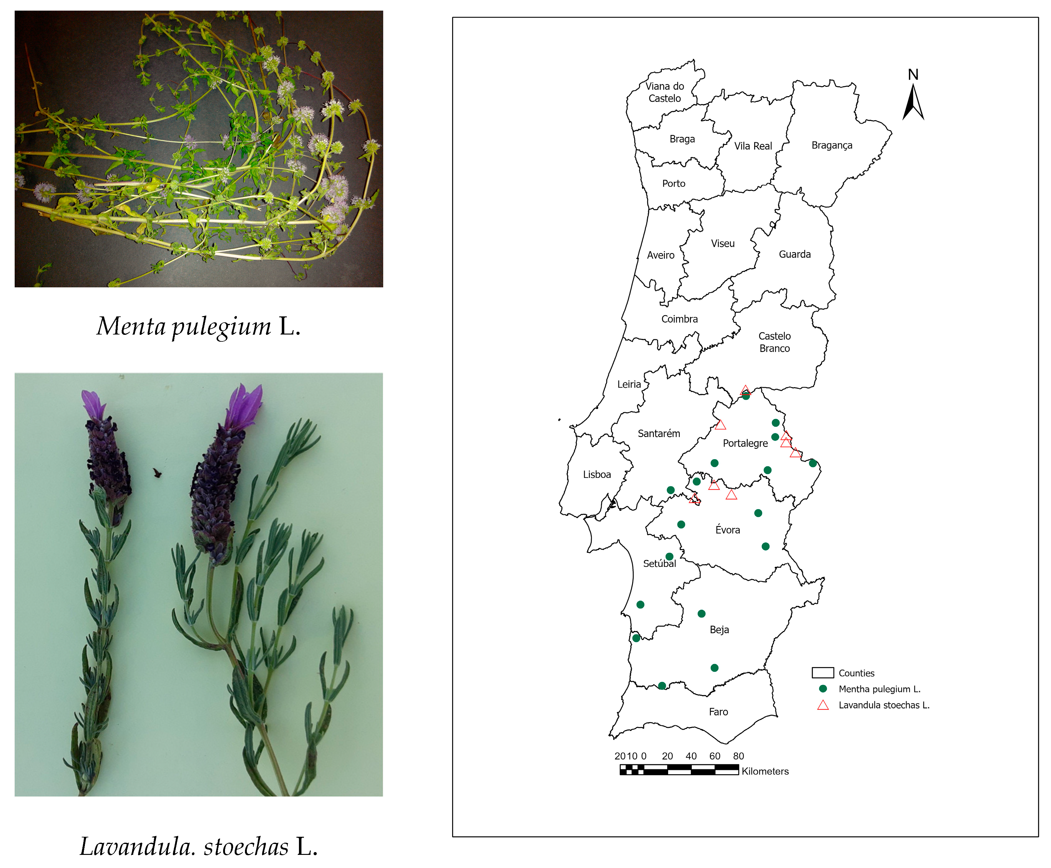 Appliedchem 06 00003 g001 Appliedchem 06 00003 g001