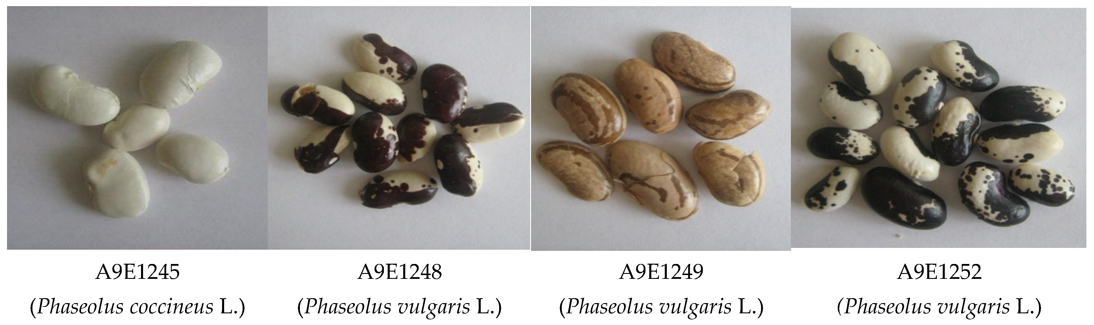 Appliedchem 06 00004 g001 Appliedchem 06 00004 g001