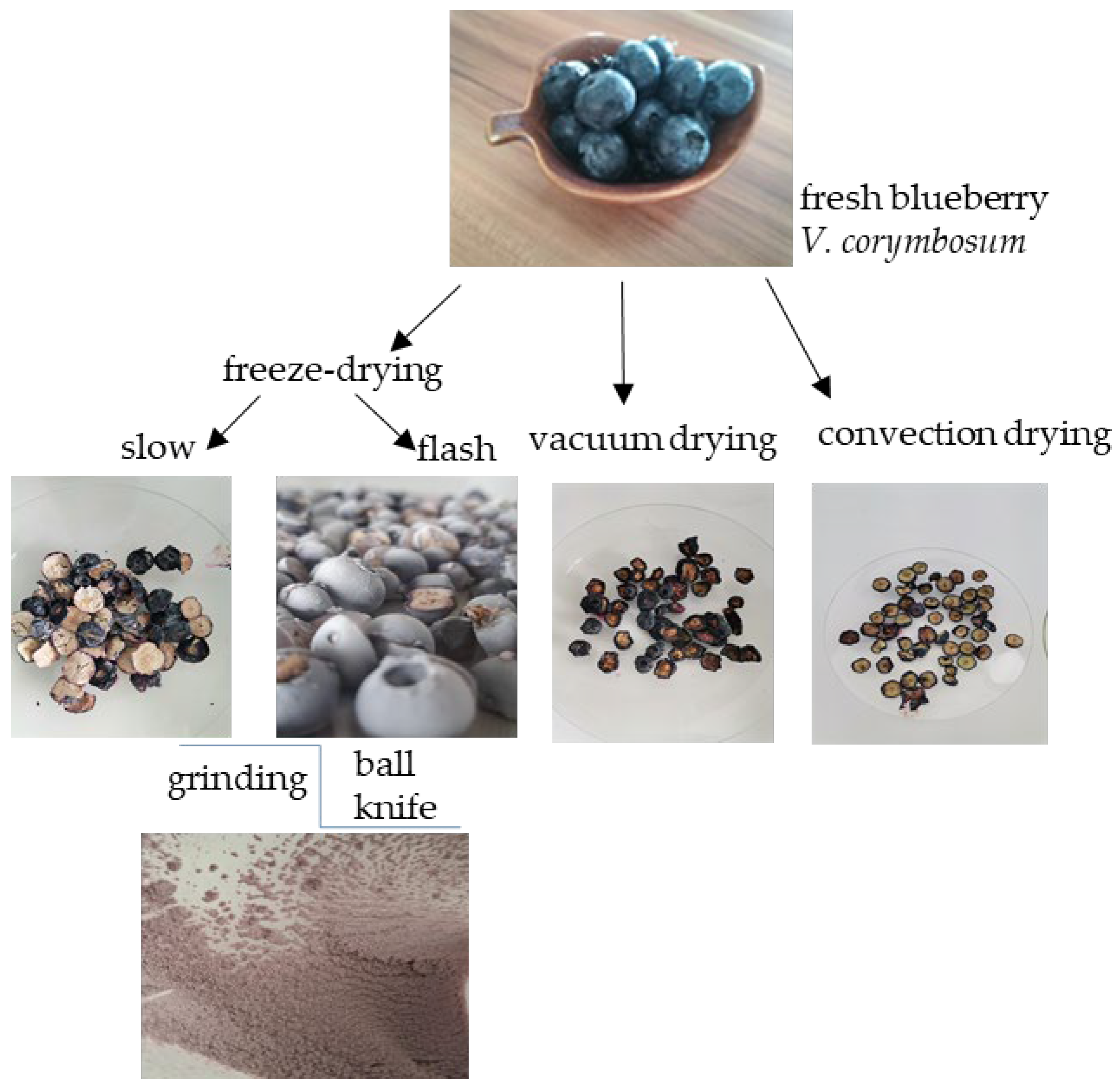Appliedchem 06 00010 g001 Appliedchem 06 00010 g001