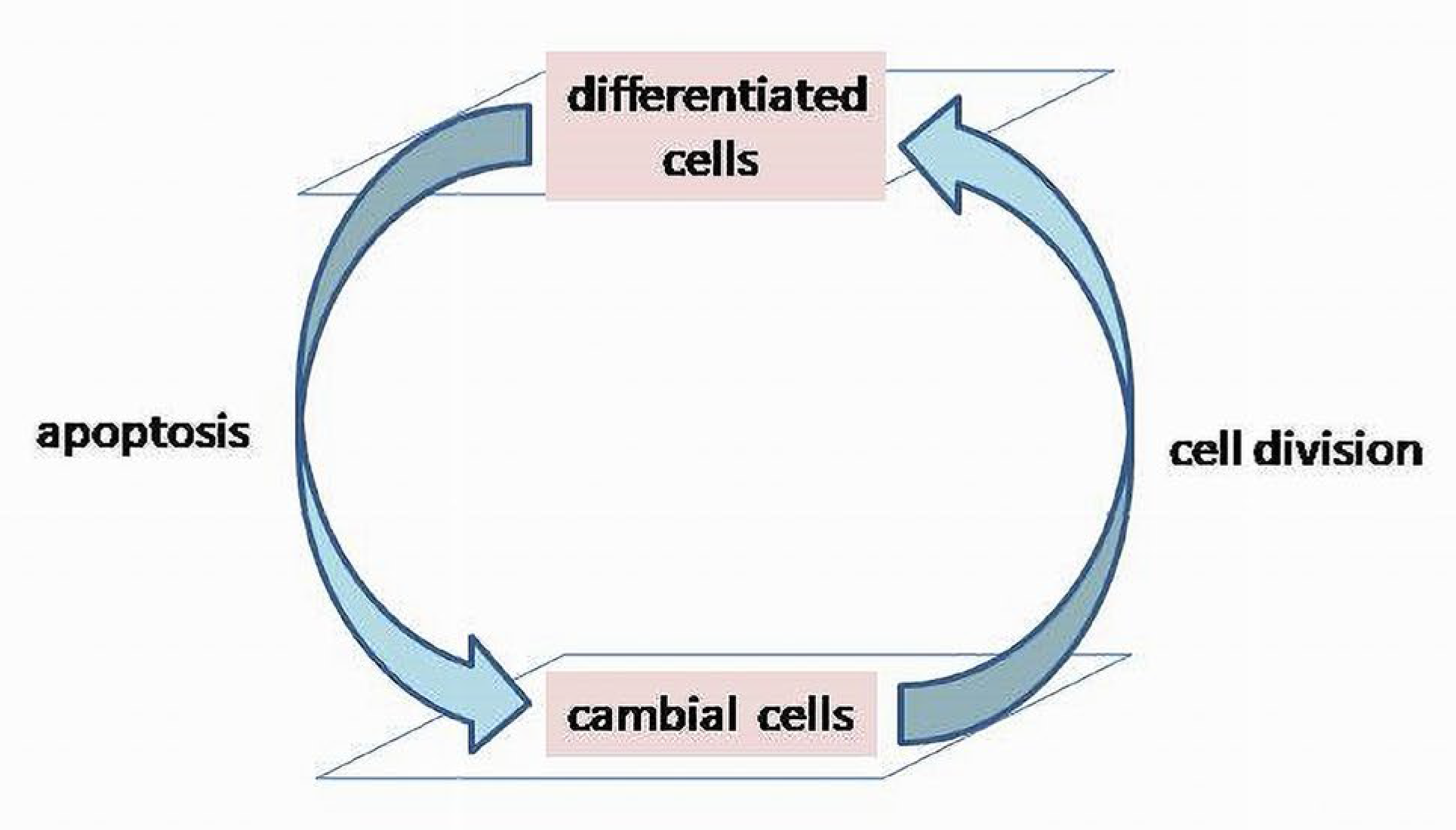 Appliedmath 03 00005 g003
