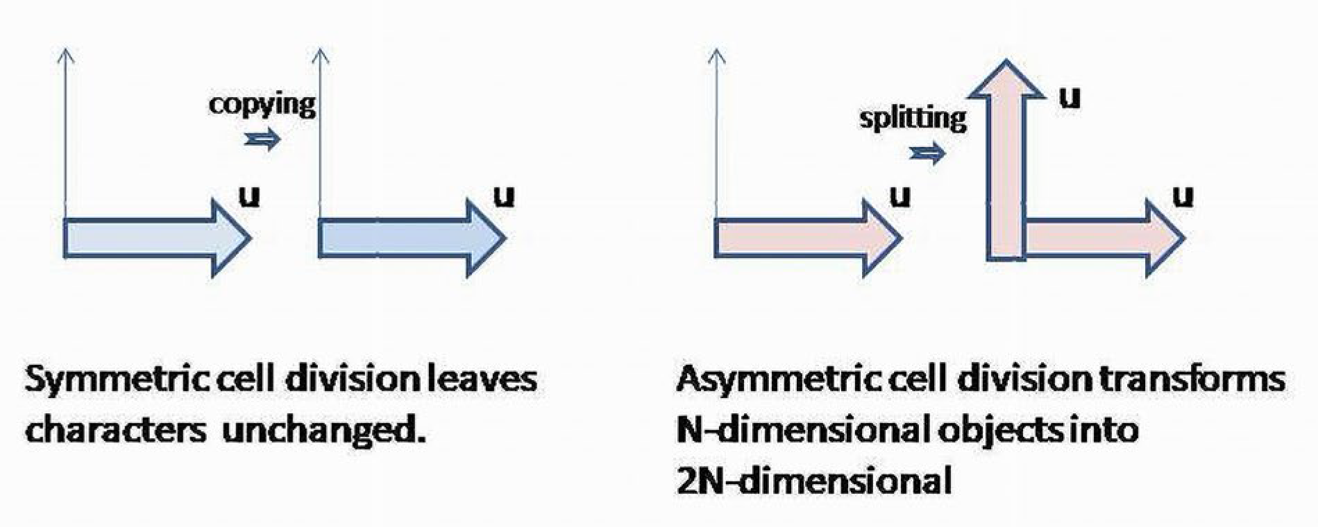 Appliedmath 03 00005 g004