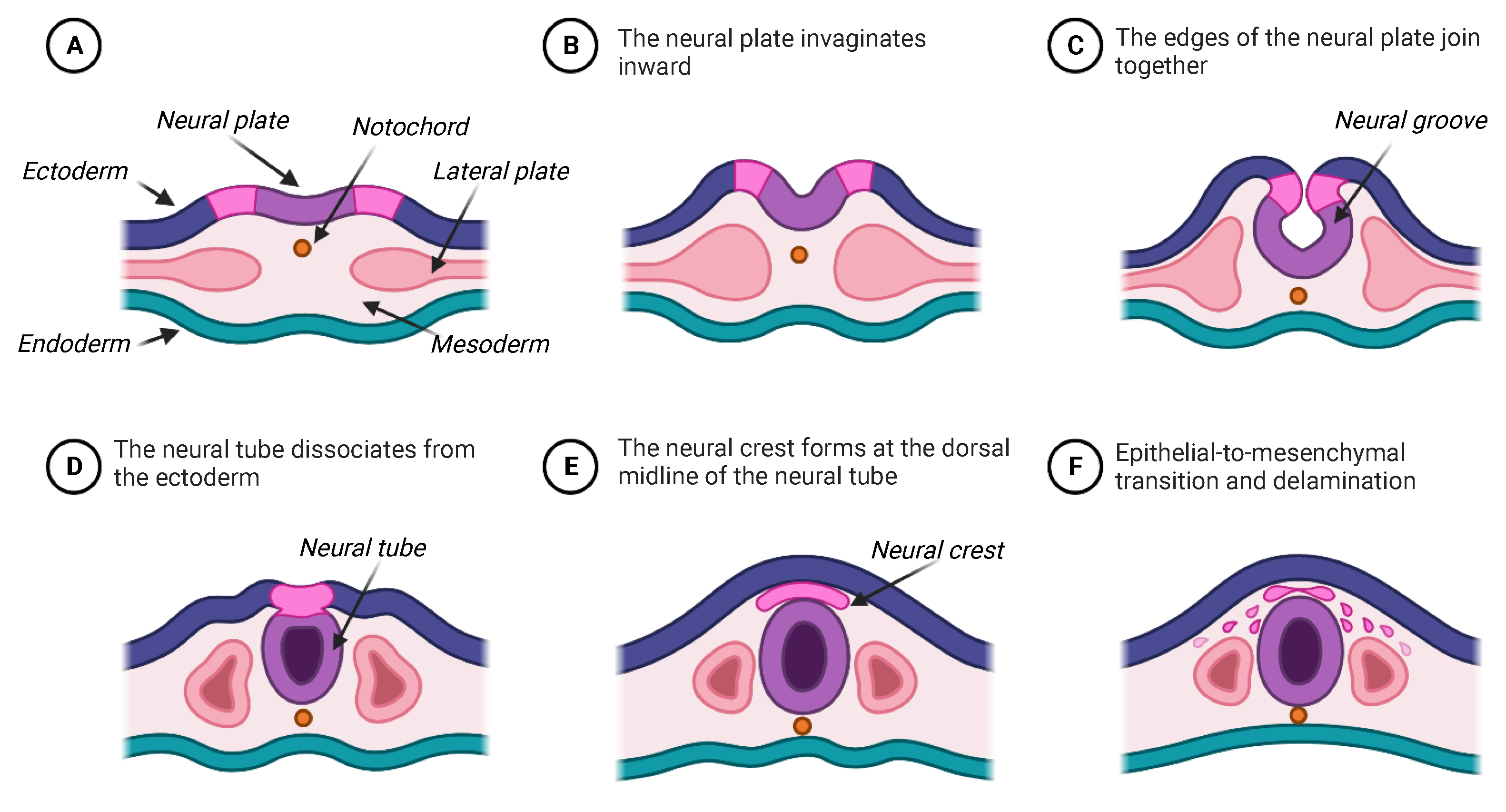 Appliedmath 04 00077 g002