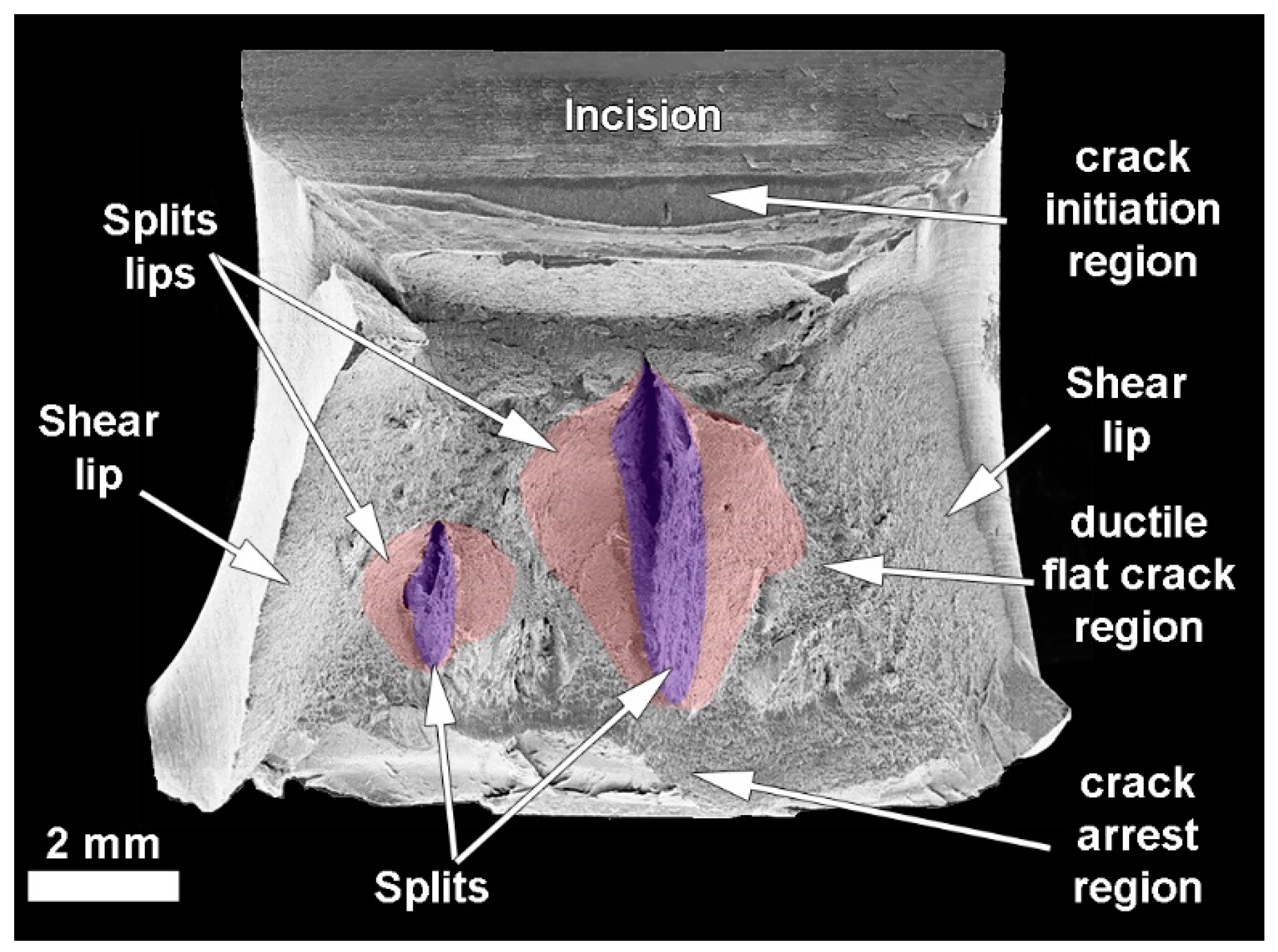 Applmech 03 00044 g005 550