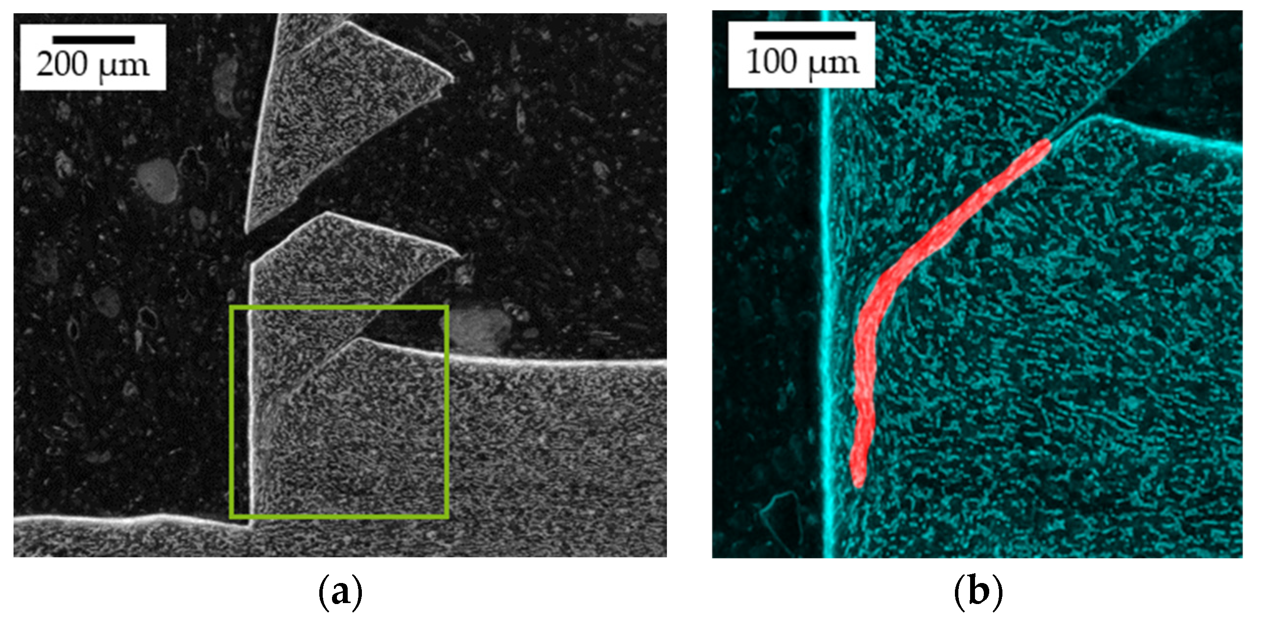 Applmech 03 00068 g014