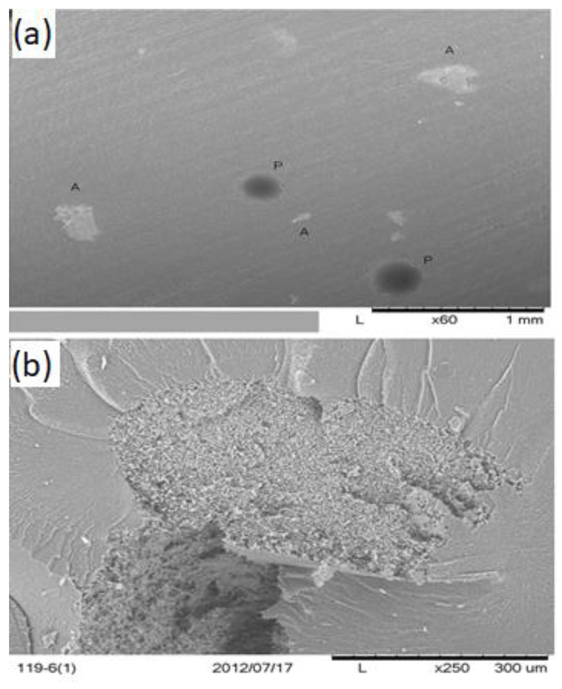 Applmech 04 00050 g009