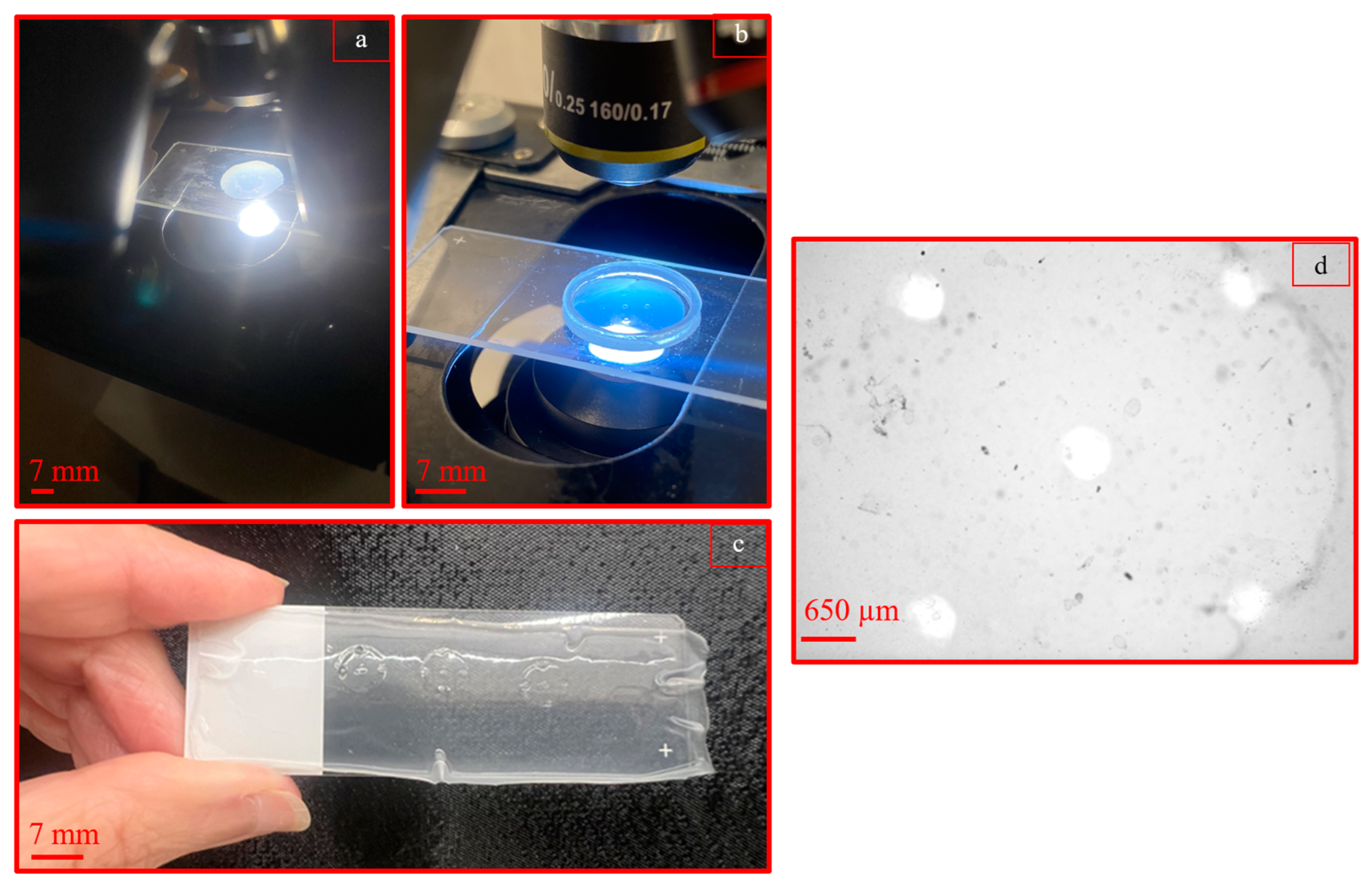 Applmech 05 00015 g012