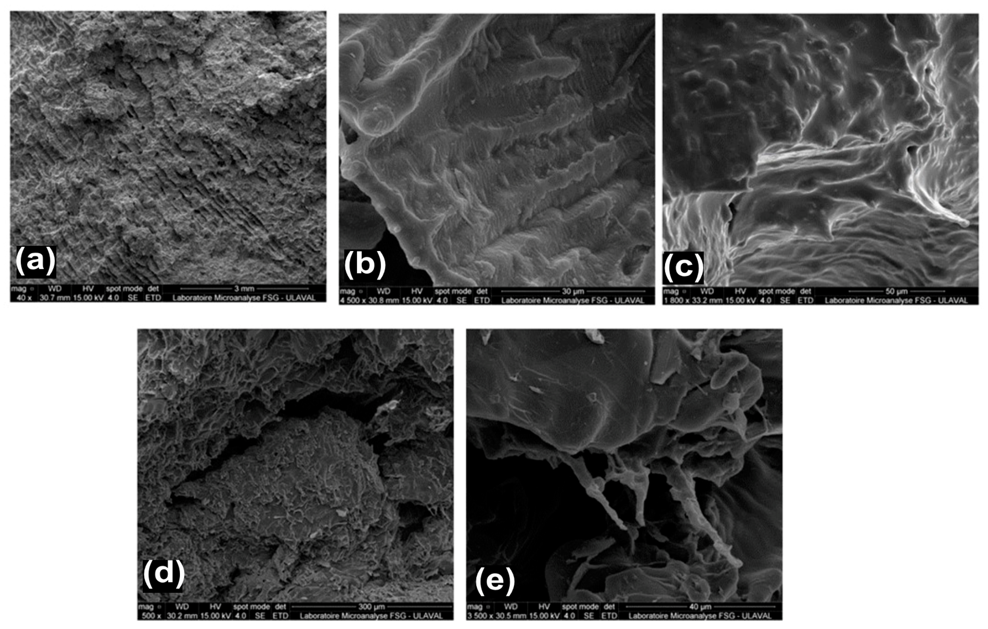 Applmech 06 00053 g019