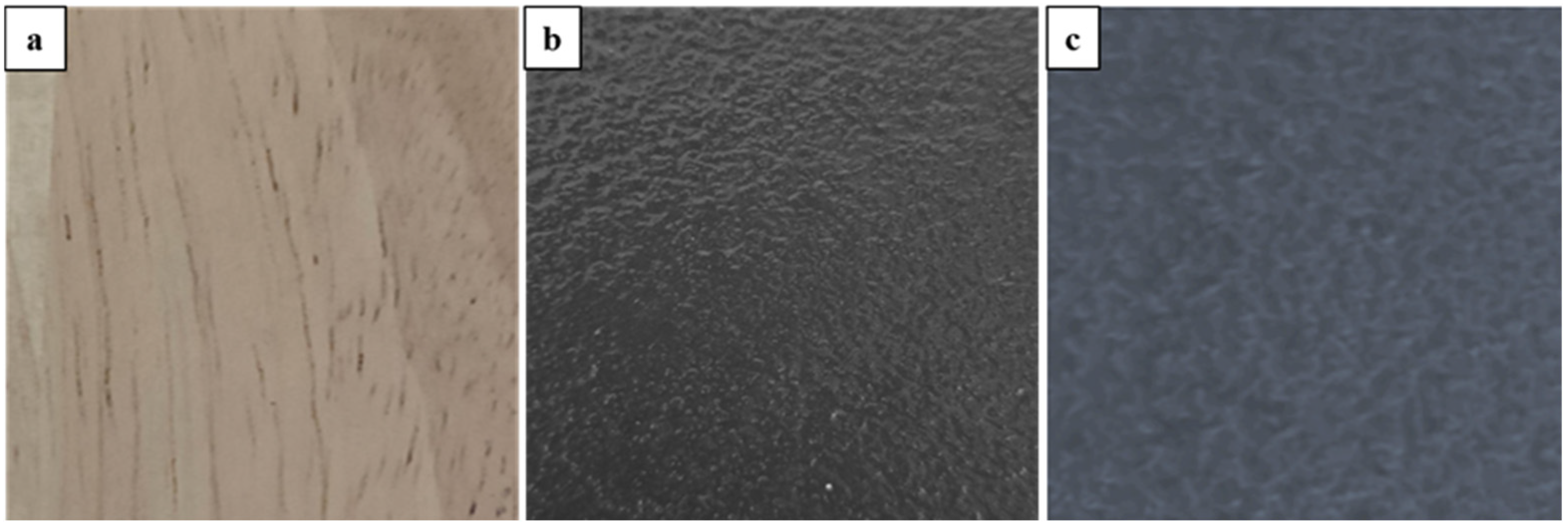 Applmech 06 00054 g003