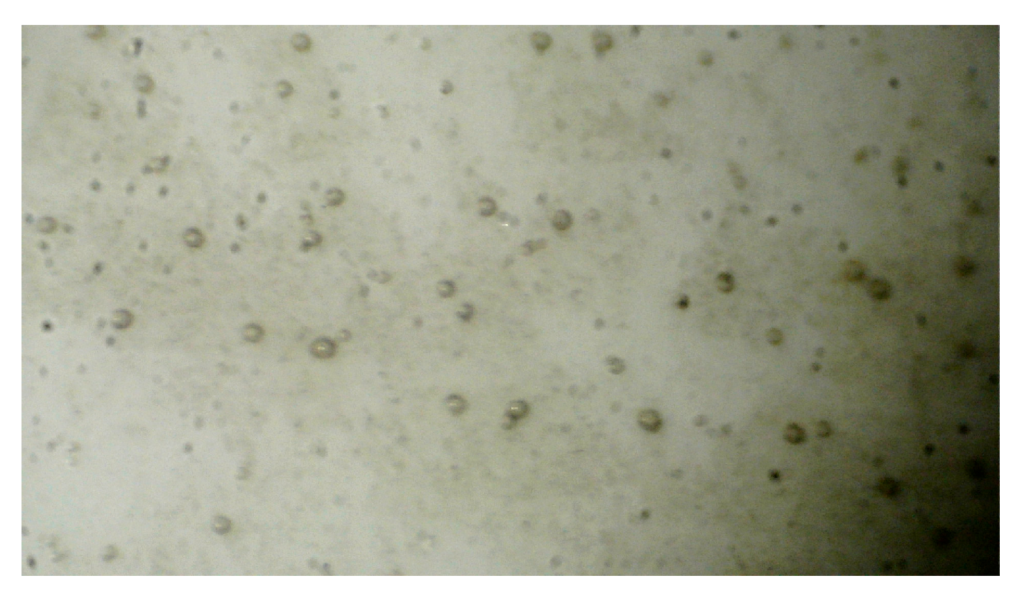 Applmech 06 00083 g005 Applmech 06 00083 g005