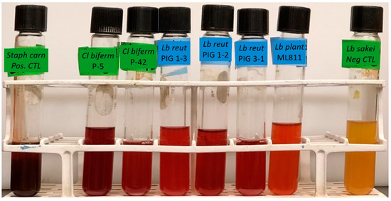 Is it ok to autoclave media twice