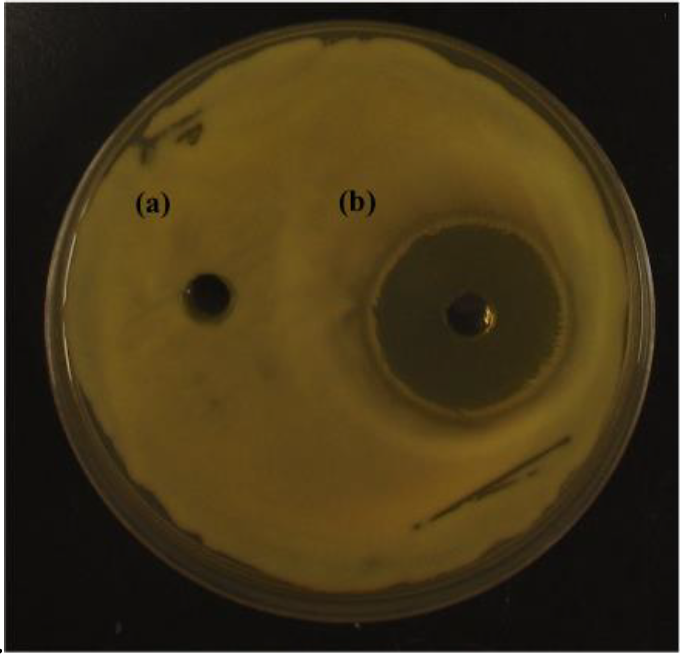 Applmicrobiol 01 00006 g001 Applmicrobiol 01 00006 g001
