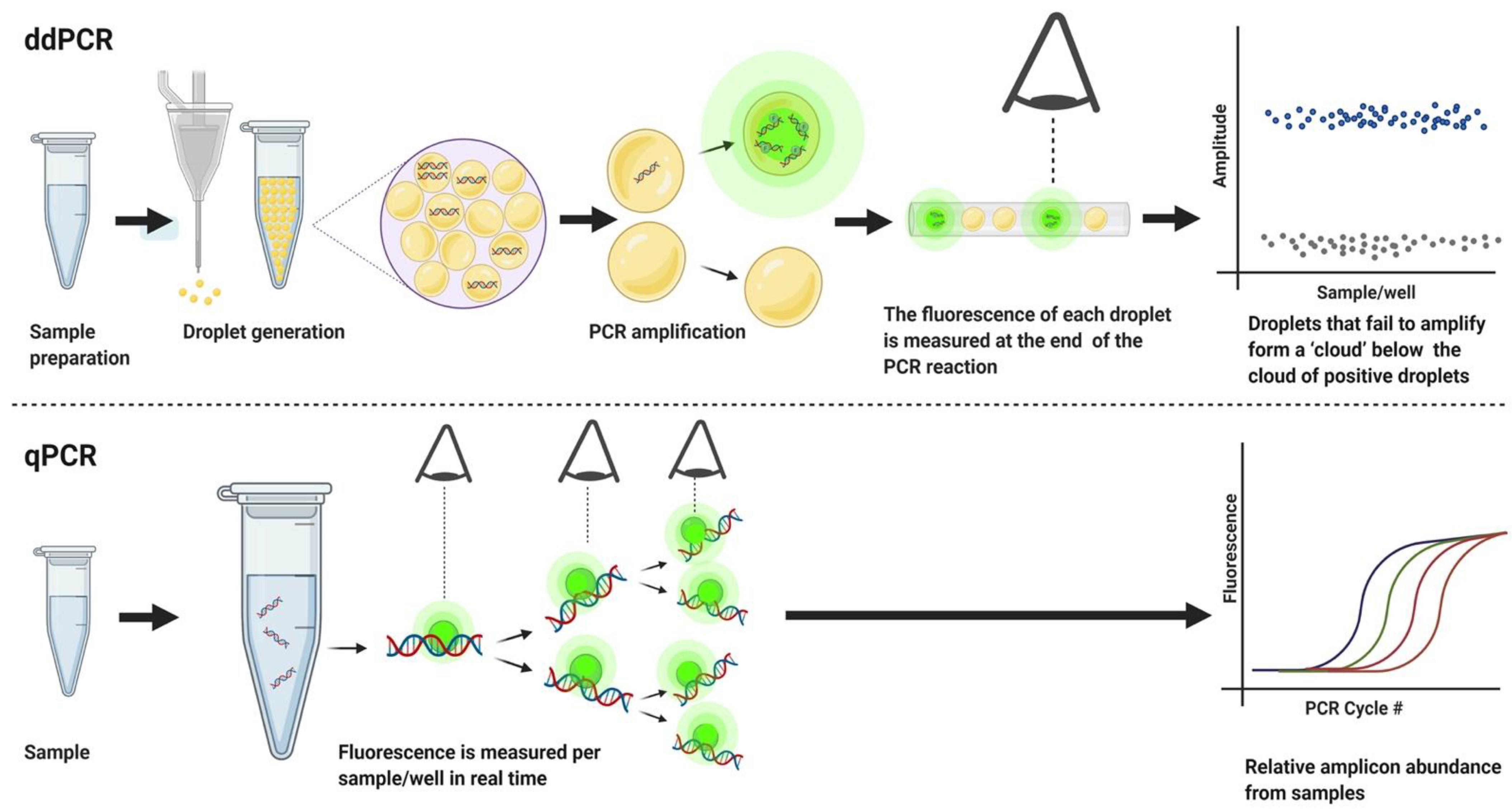 Applmicrobiol 01 00007 g001