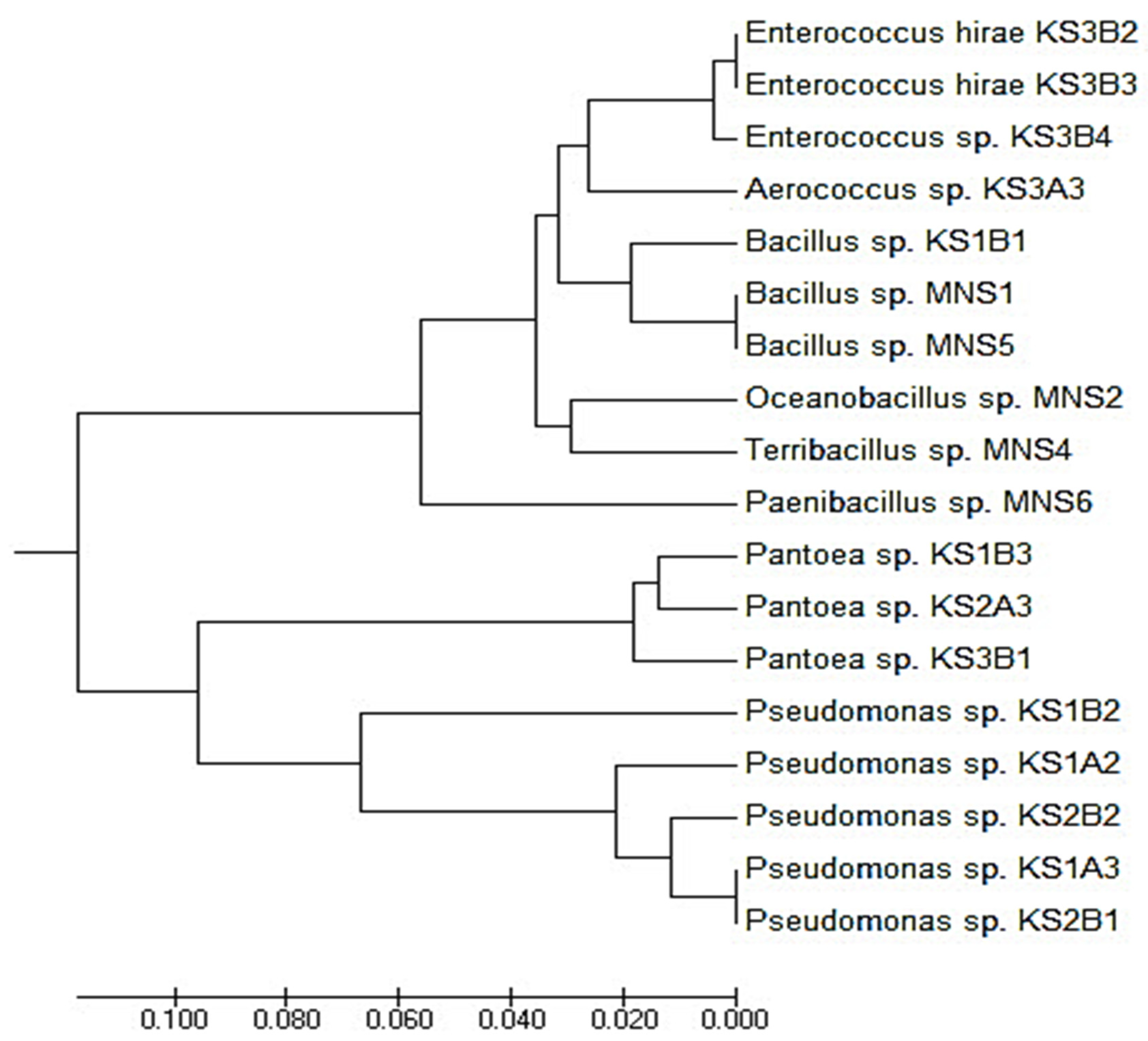 Applmicrobiol 01 00008 g005 Applmicrobiol 01 00008 g005
