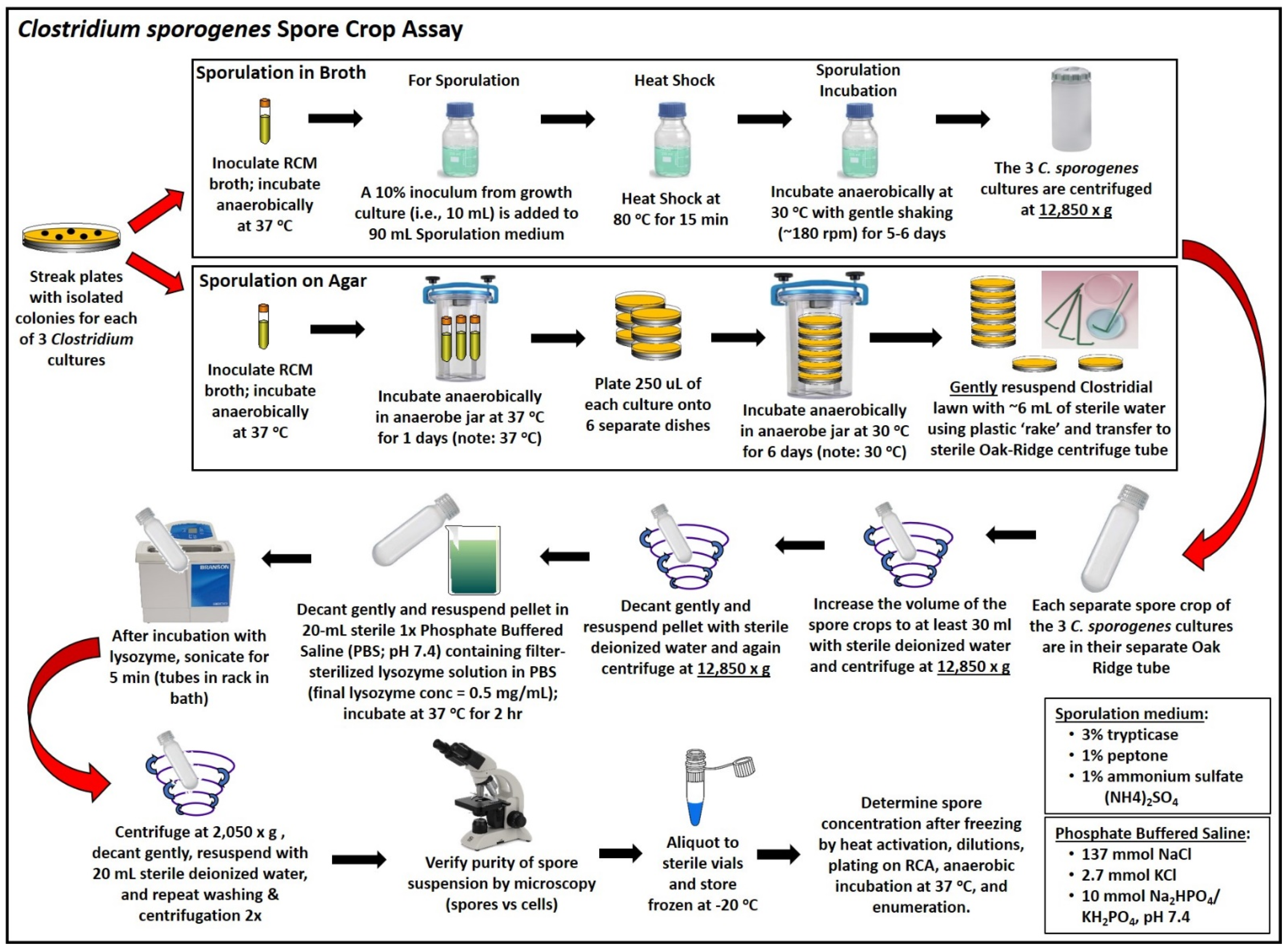 Applmicrobiol 01 00009 g001 Applmicrobiol 01 00009 g001