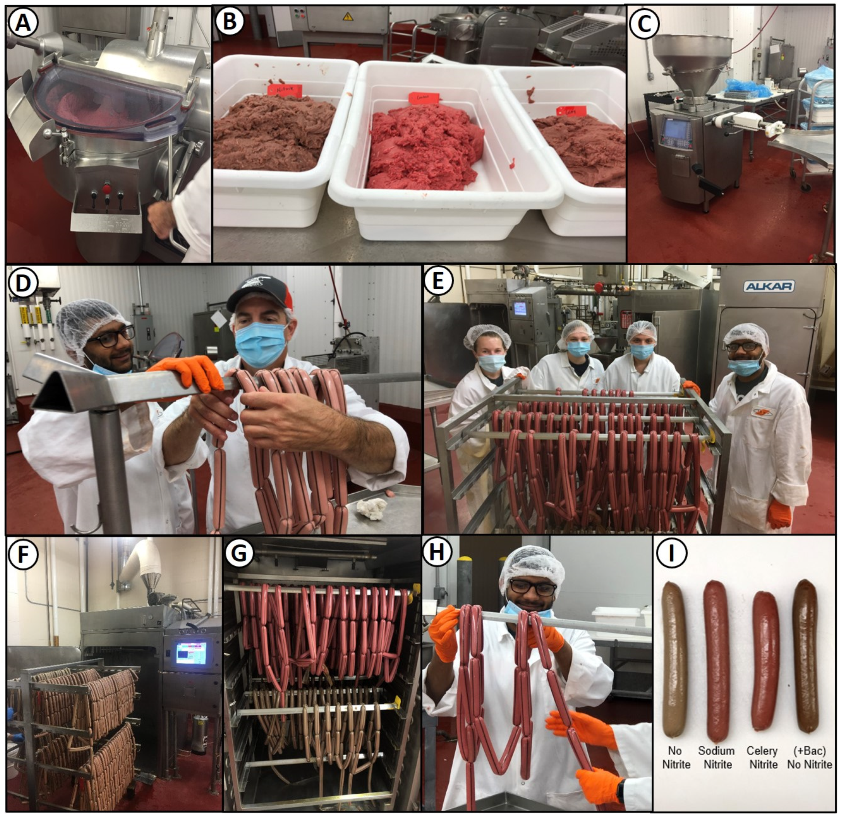 Applmicrobiol 01 00009 g002 Applmicrobiol 01 00009 g002