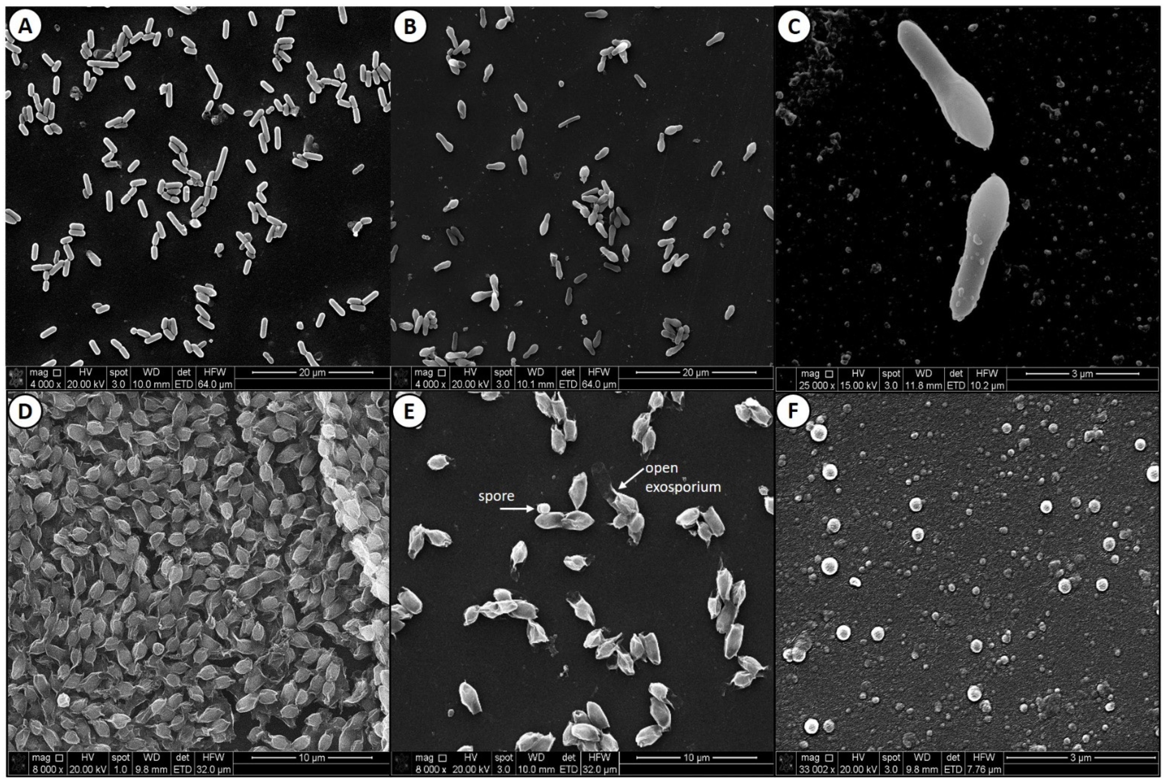 Applmicrobiol 01 00009 g003 Applmicrobiol 01 00009 g003