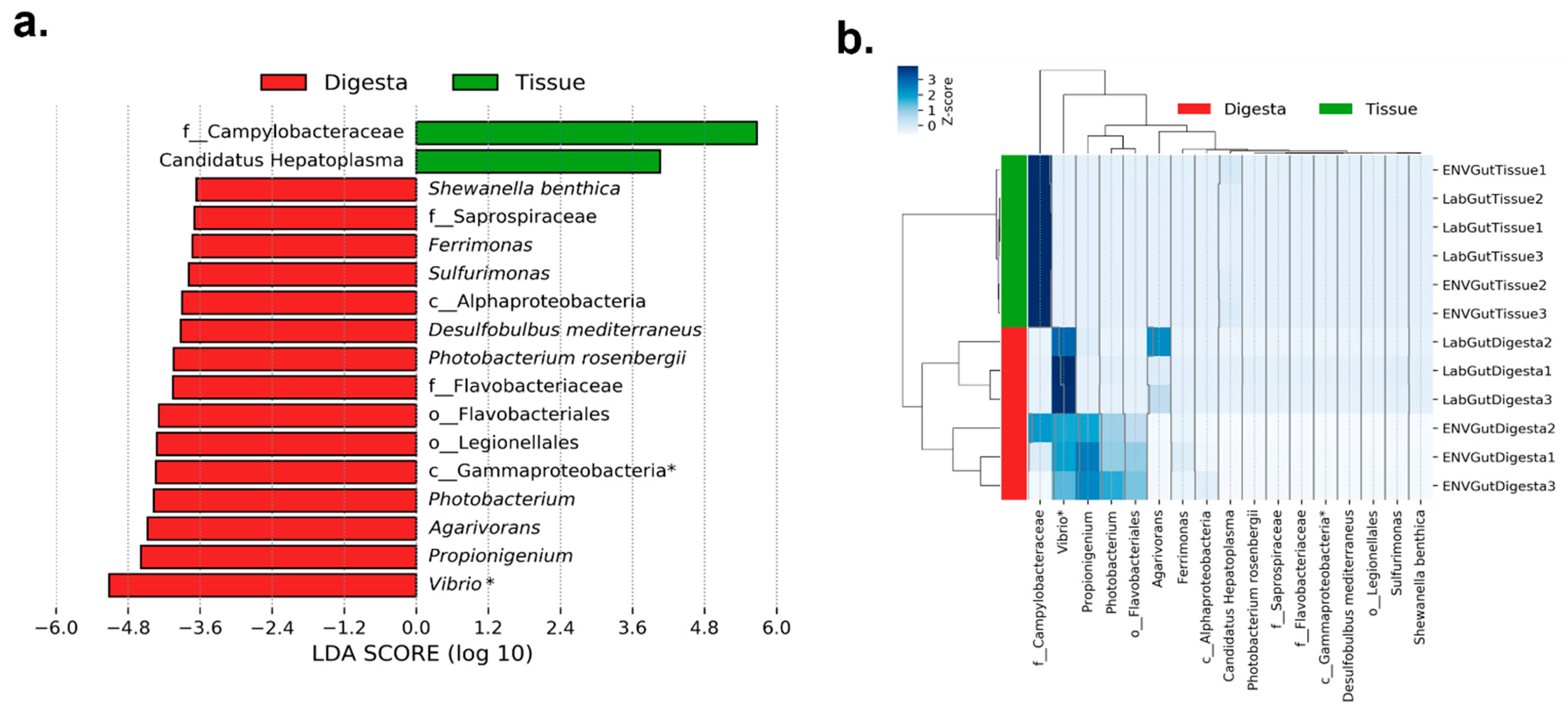 Applmicrobiol 01 00016 g003