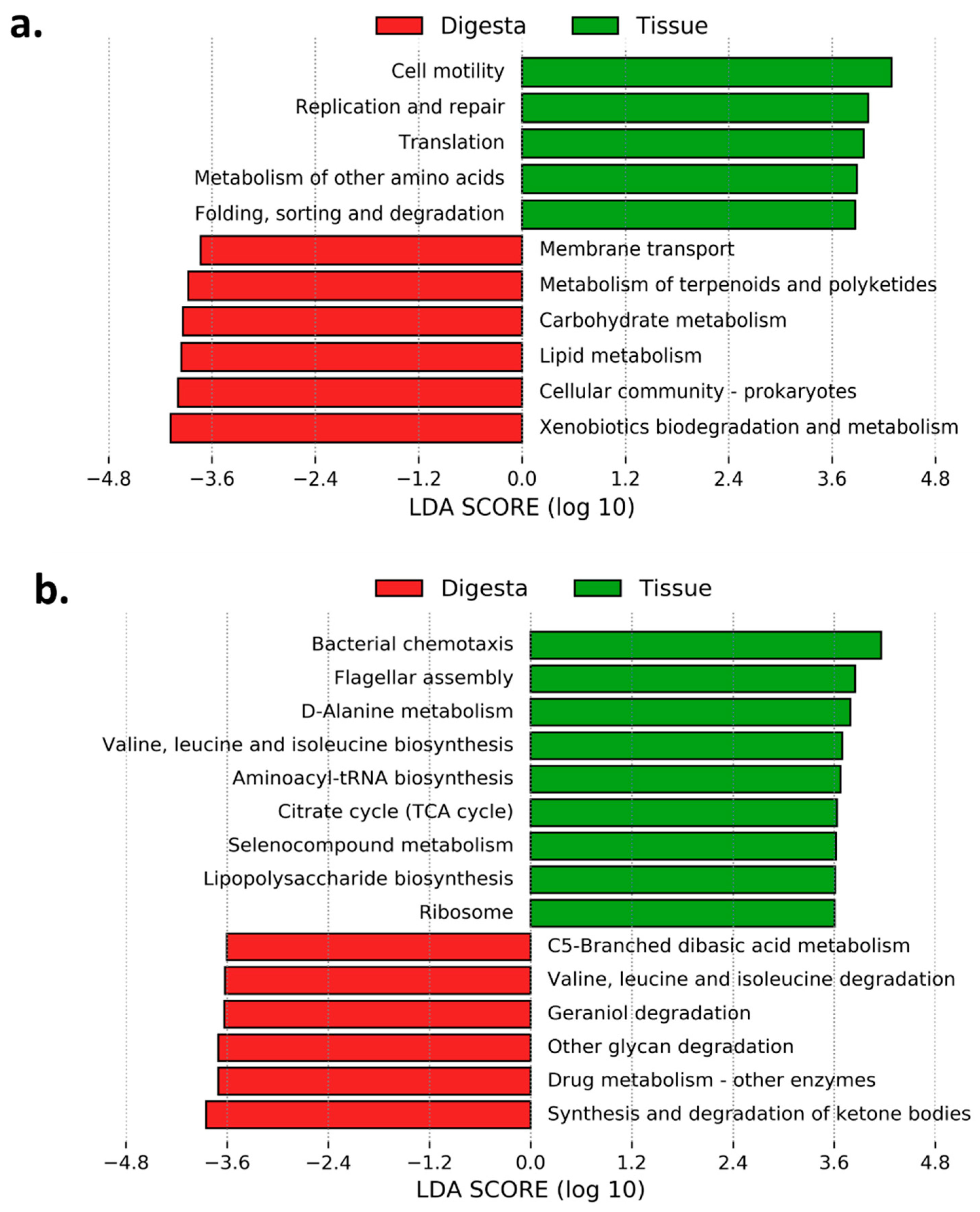 Applmicrobiol 01 00016 g007