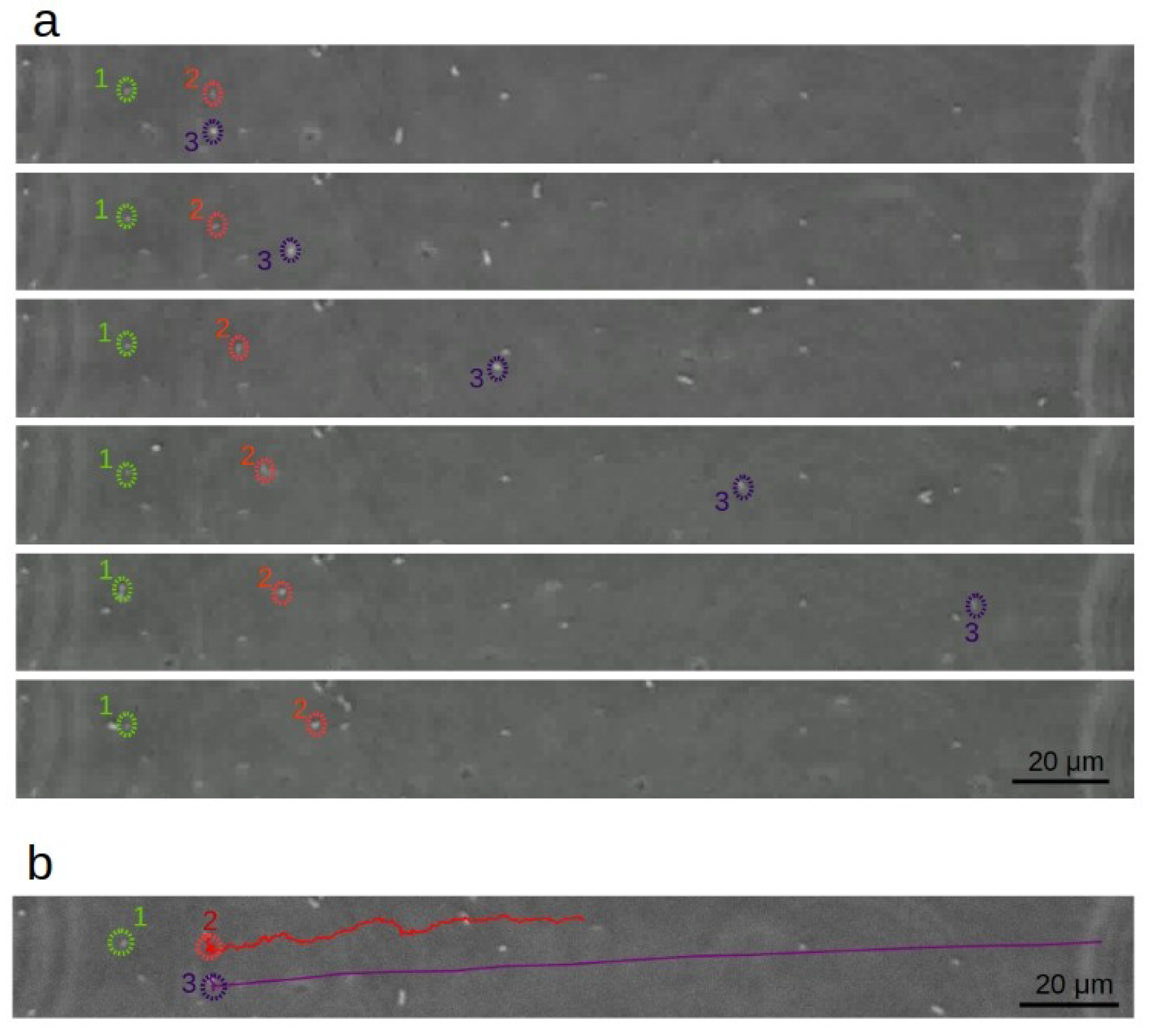 Applmicrobiol 01 00019 g003