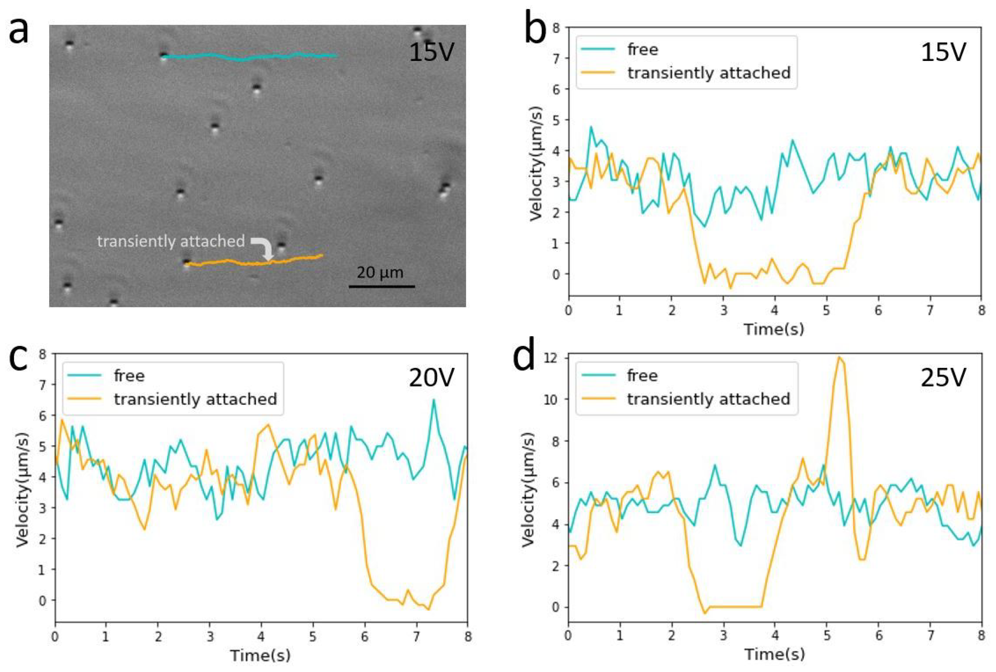 Applmicrobiol 01 00019 g006