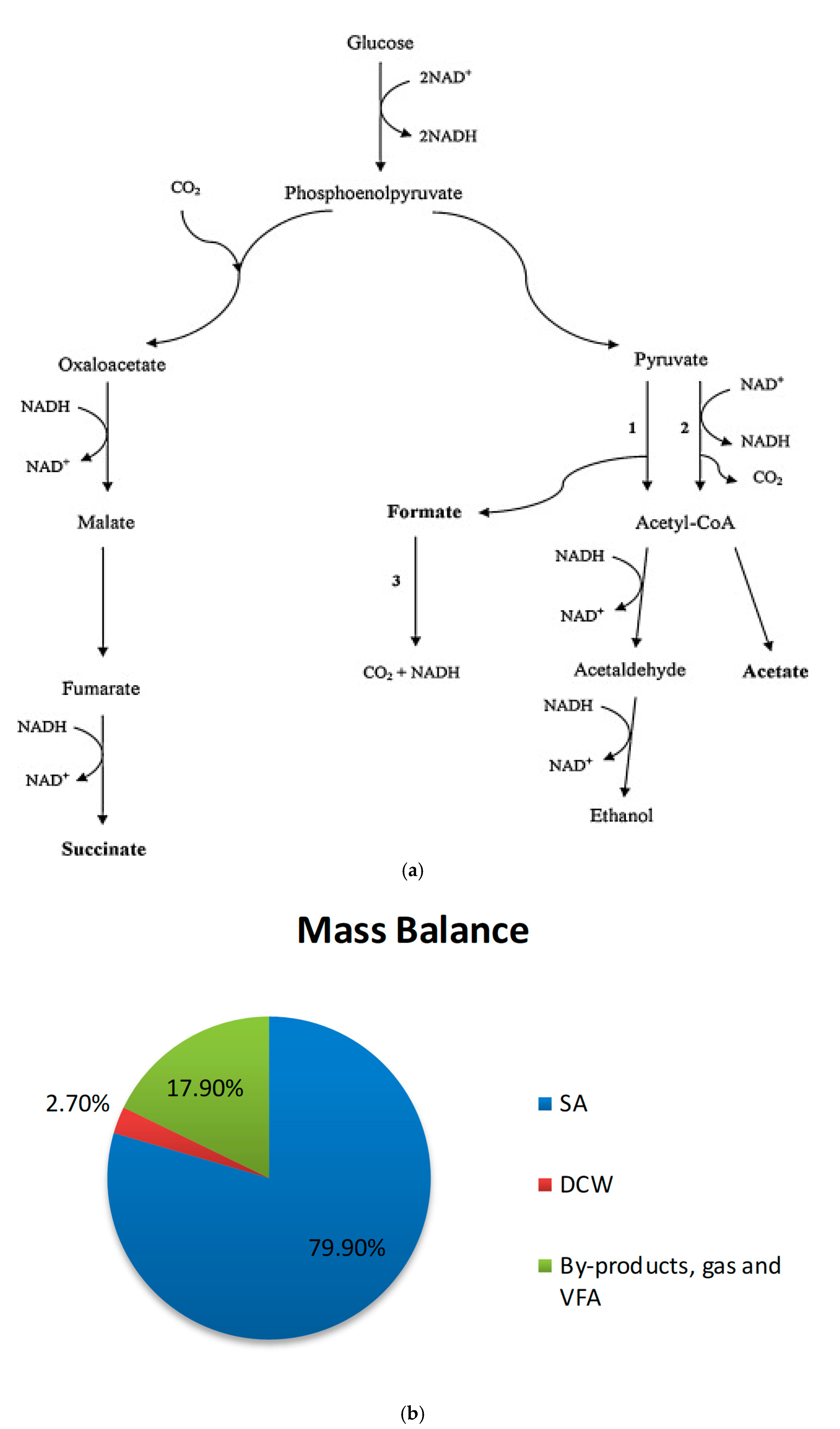 Applmicrobiol 01 00022 g004 Applmicrobiol 01 00022 g004